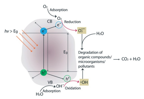 Membranes 10 00295 g007