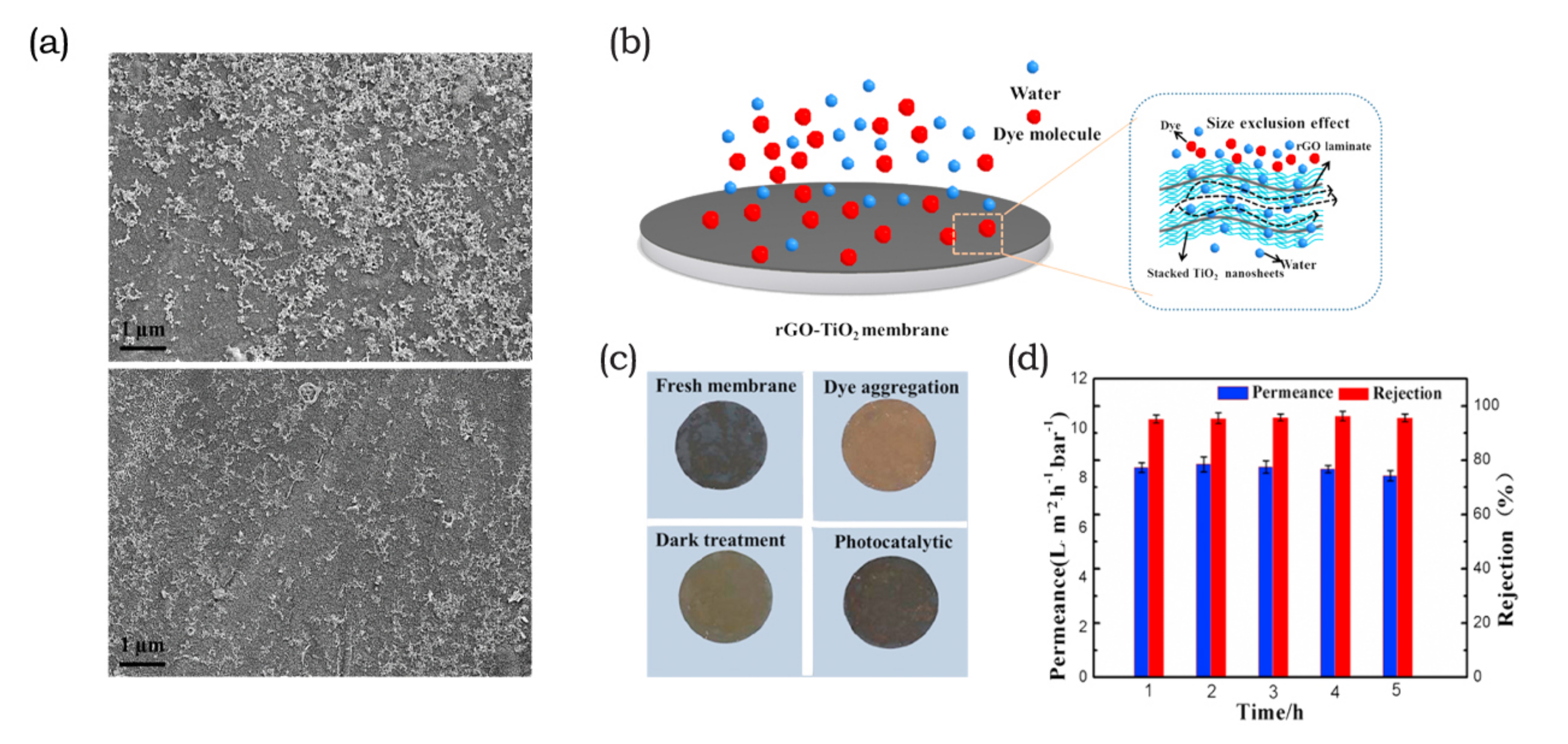 Membranes 10 00295 g008