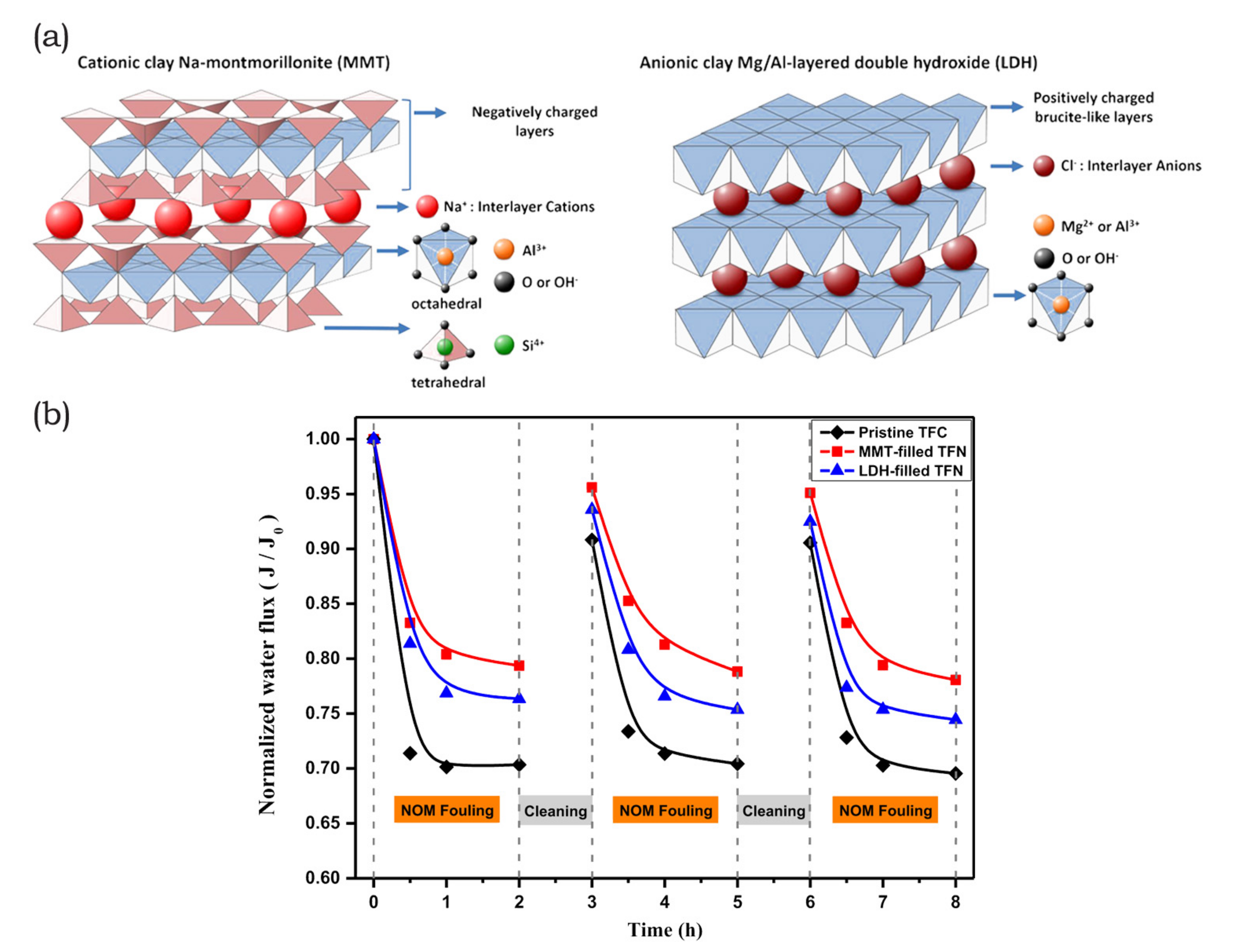 Membranes 10 00295 g009