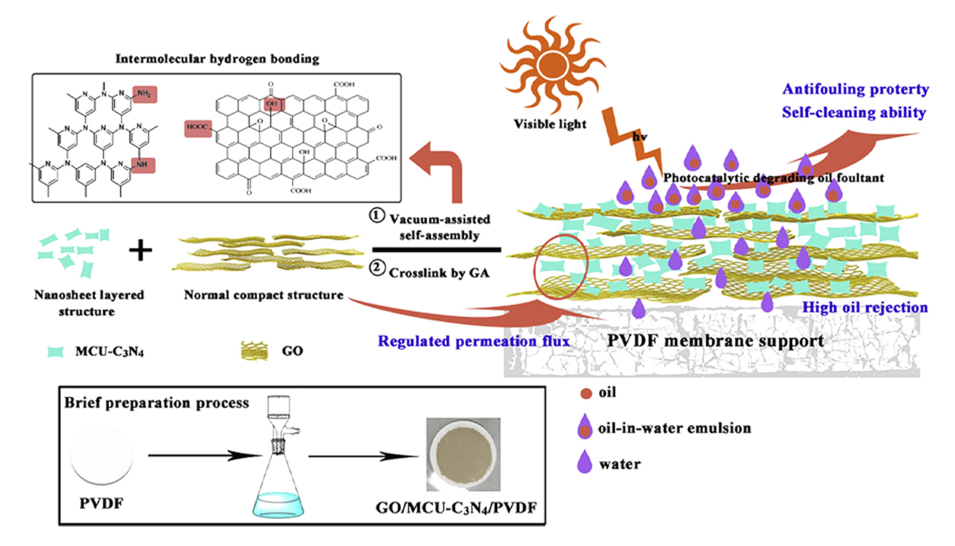 Membranes 10 00295 g011