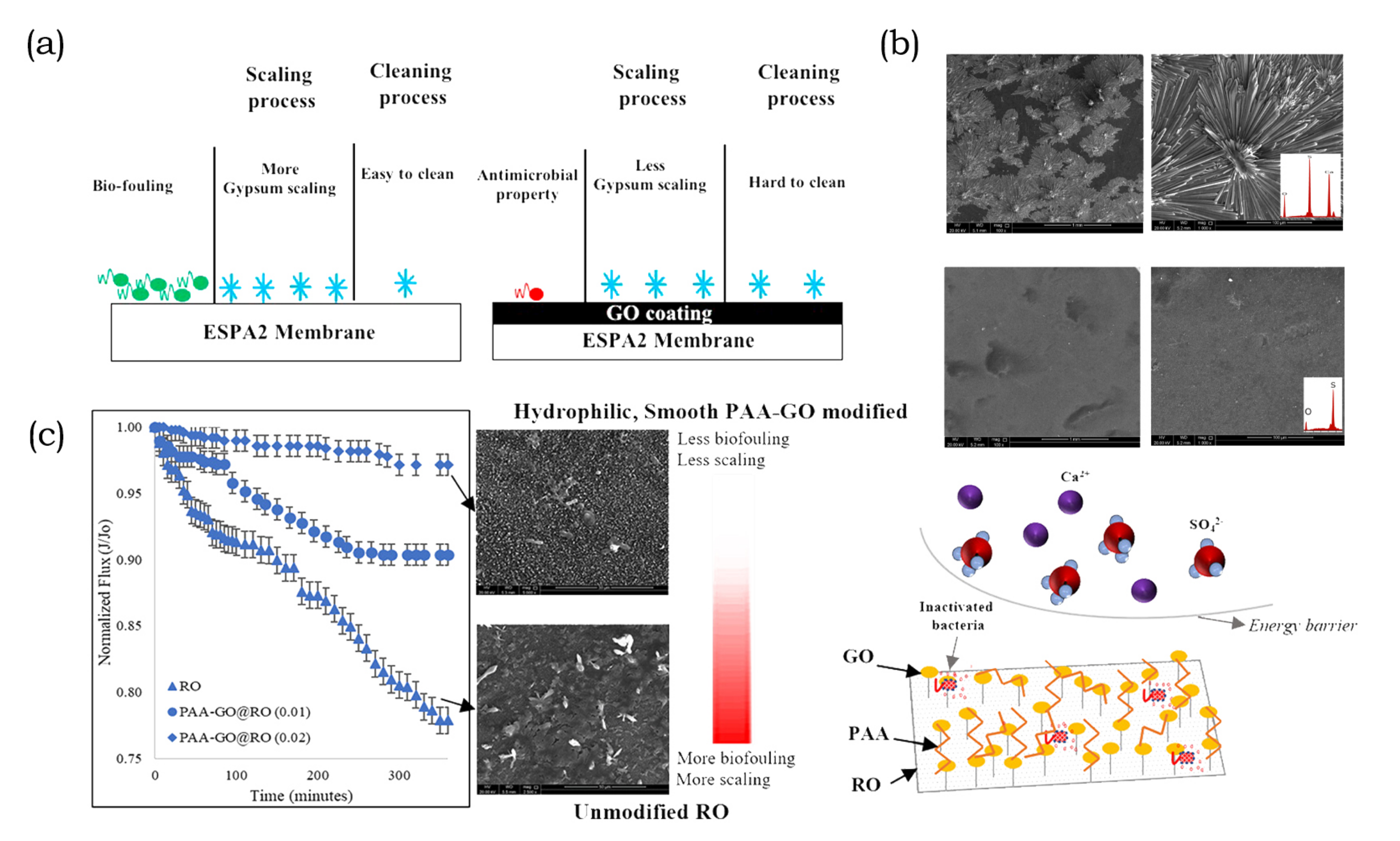 Membranes 10 00295 g012