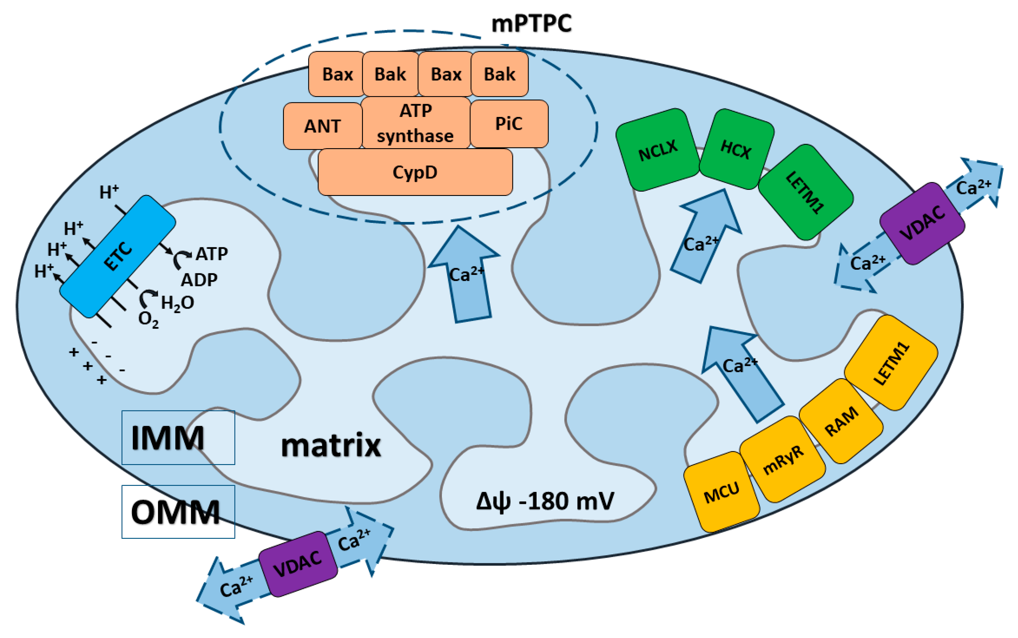 Membranes 10 00299 g001 Membranes 10 00299 g001