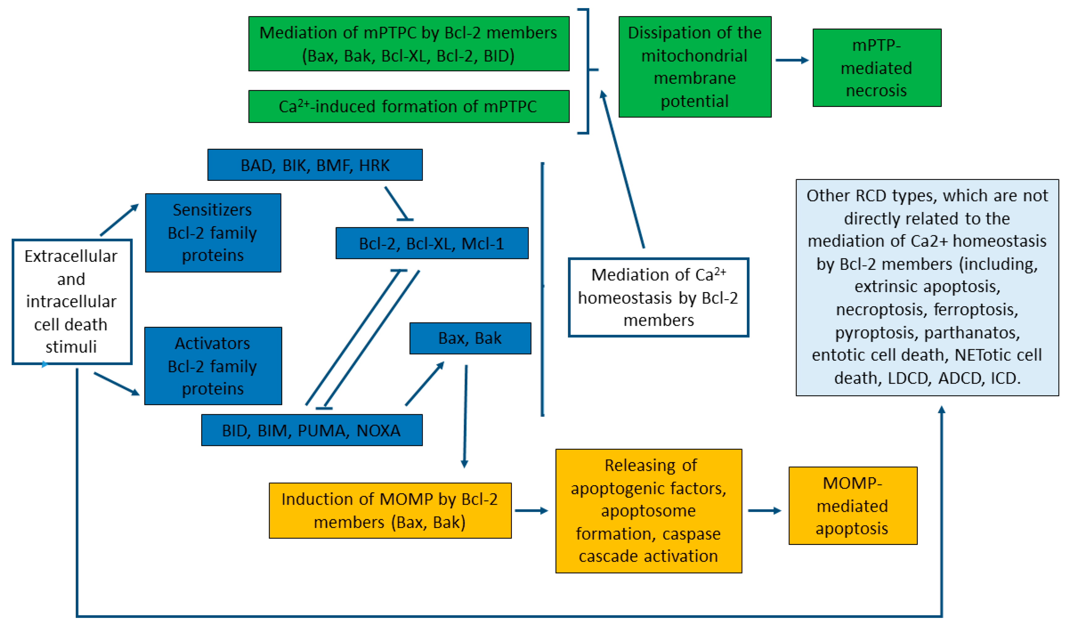 Membranes 10 00299 g003 Membranes 10 00299 g003