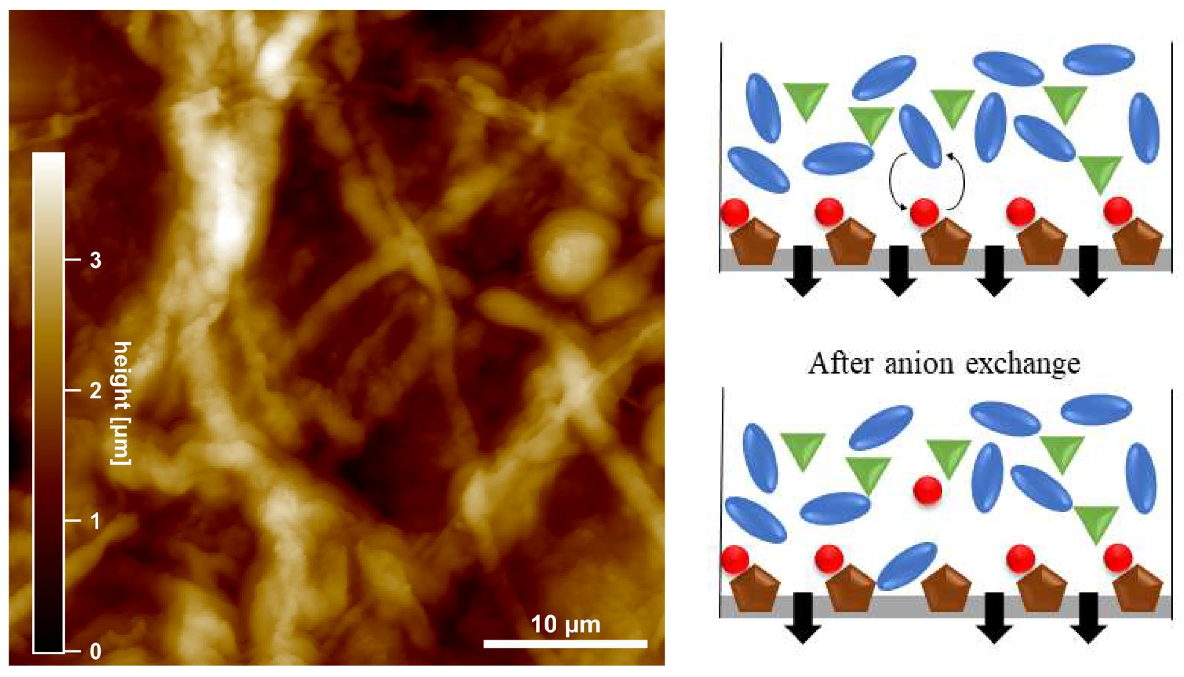 Membranes 10 00308 g006