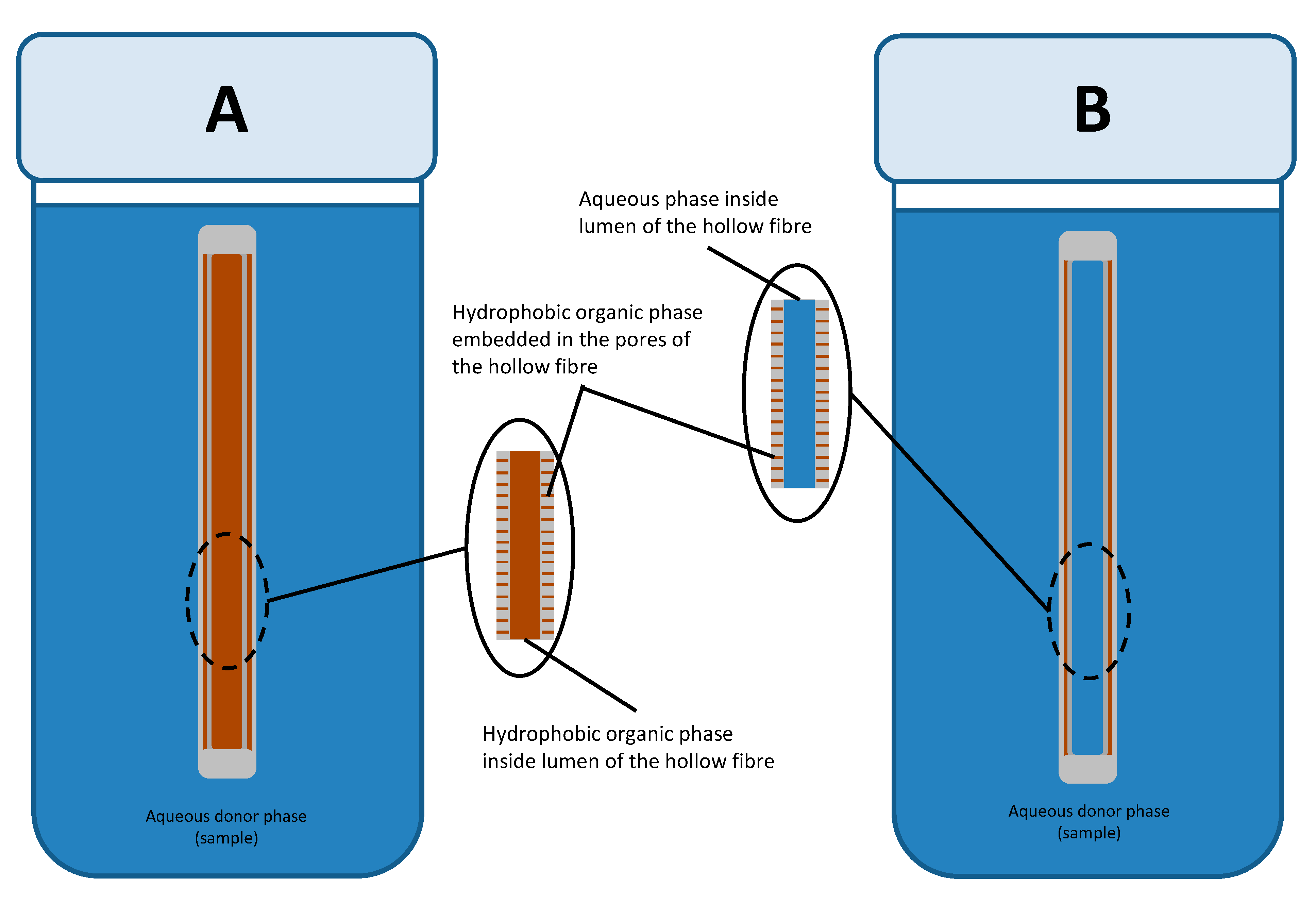 Membranes 10 00311 g001