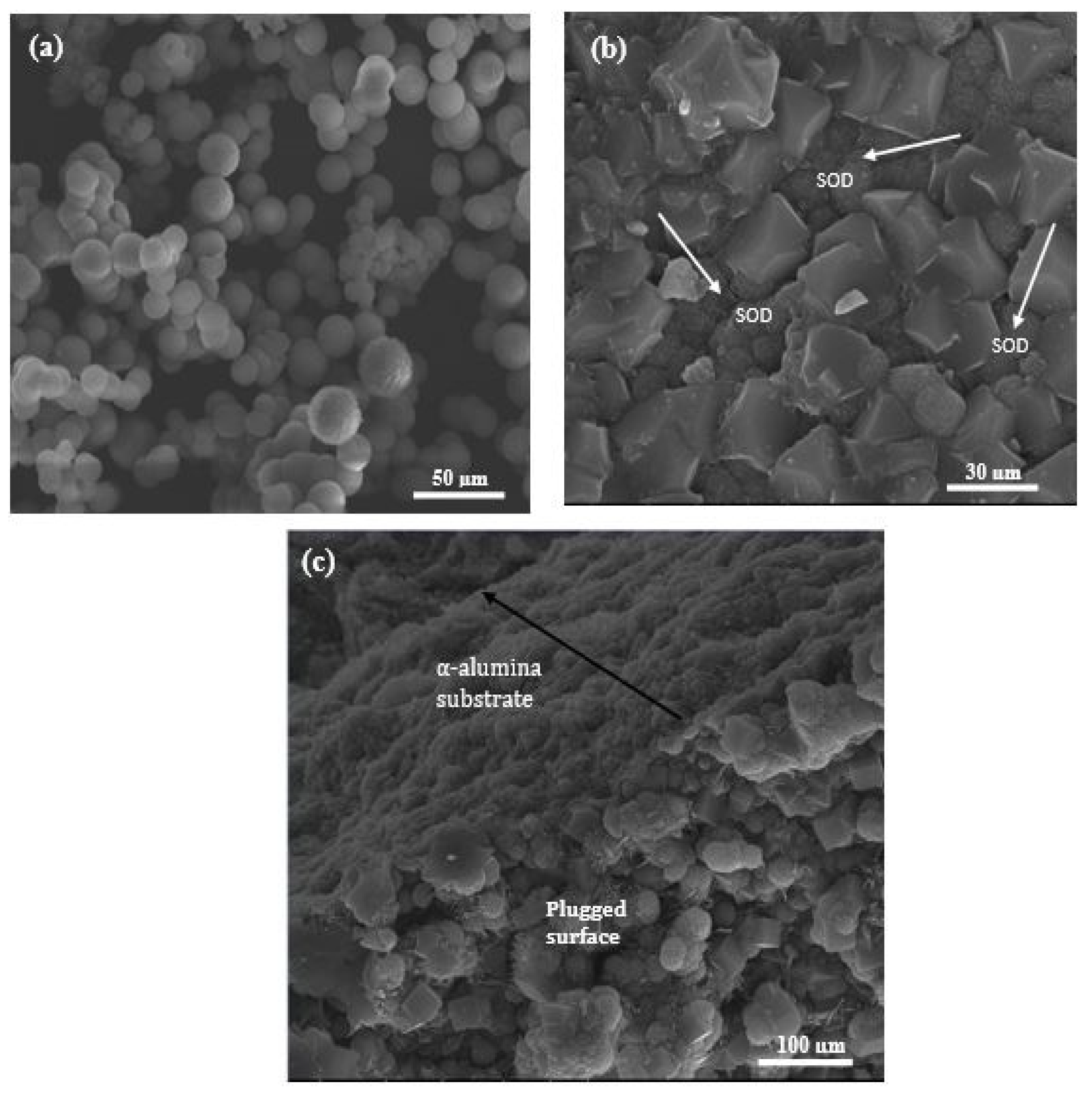 Membranes 10 00312 g005