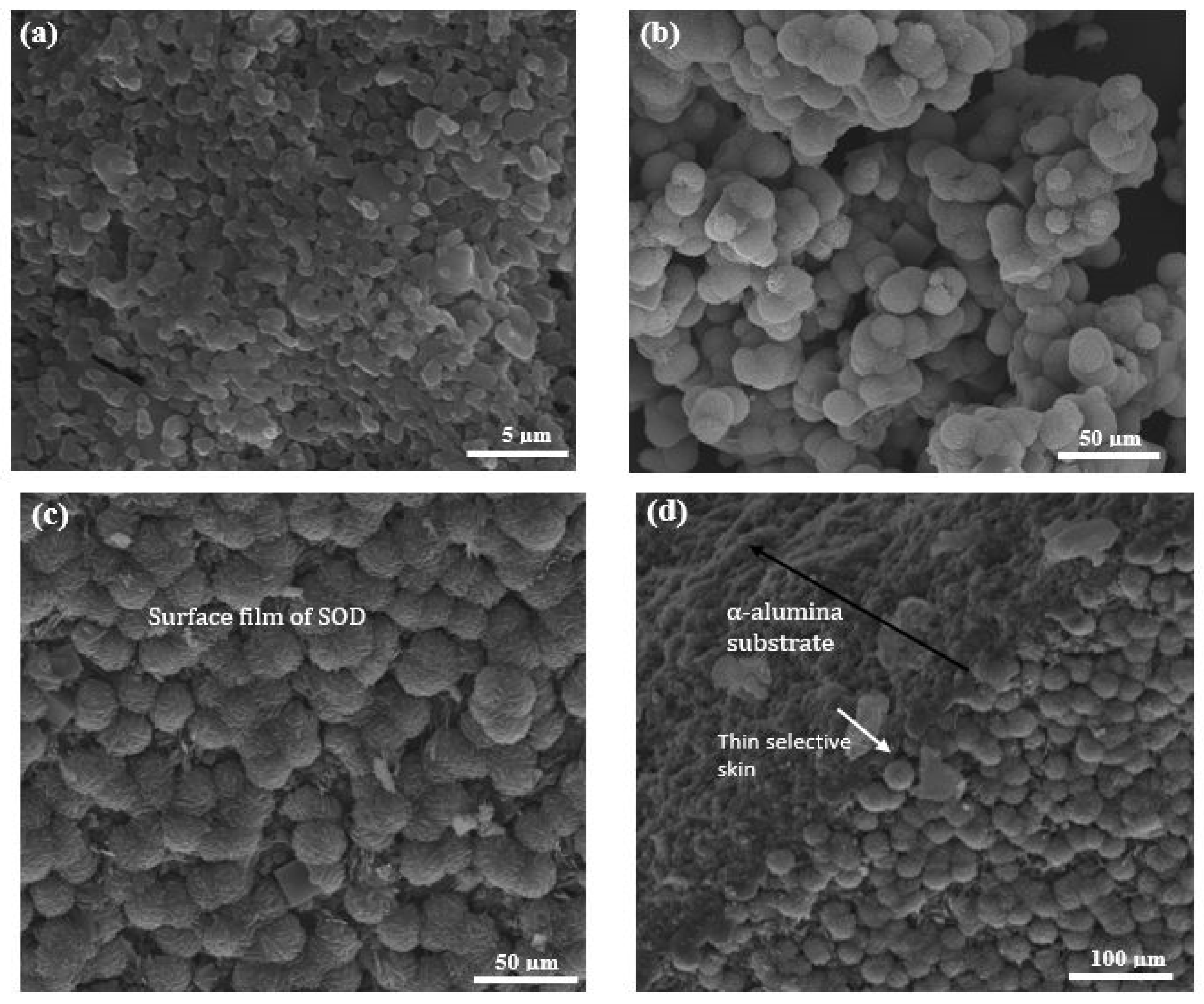Membranes 10 00312 g006