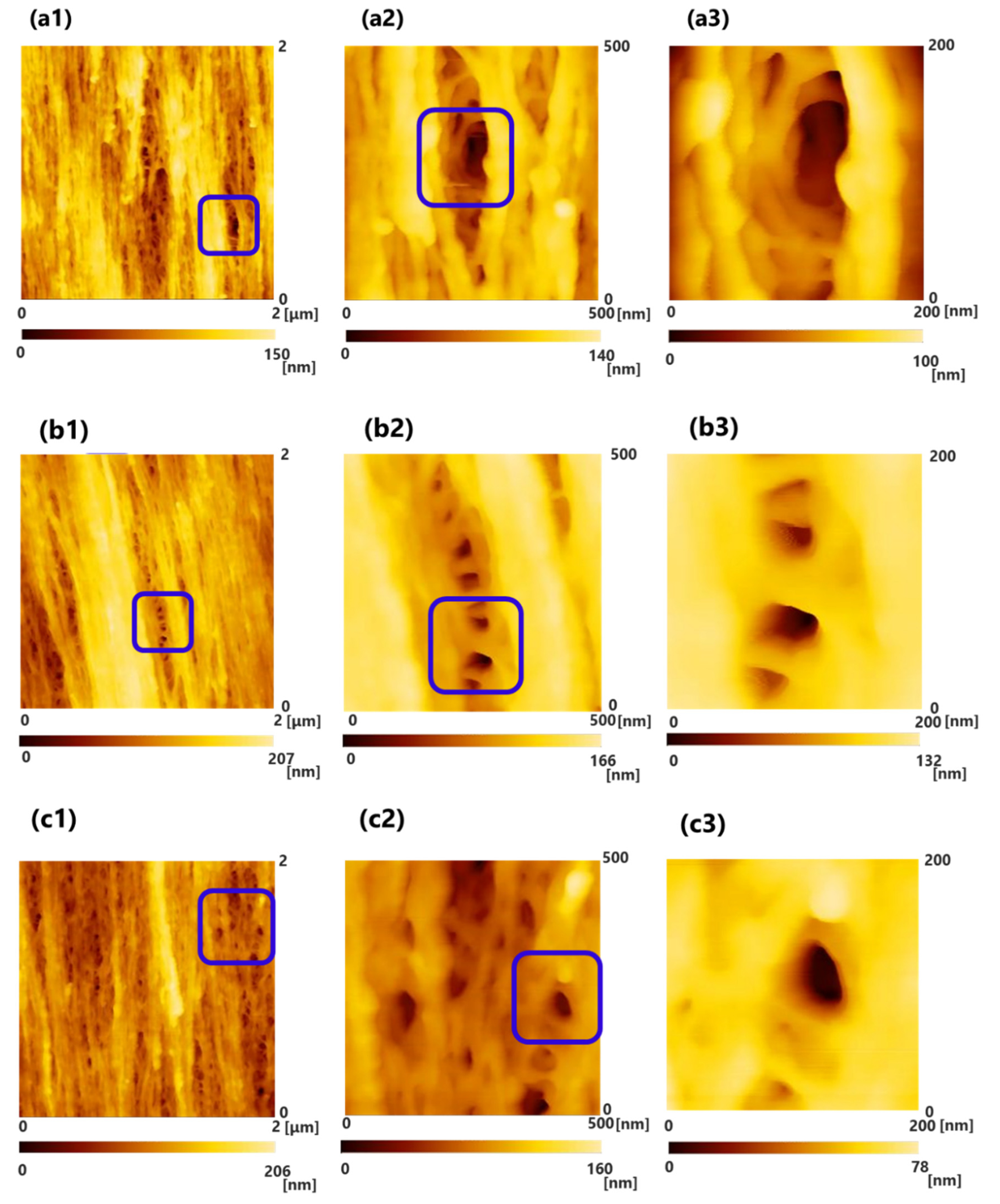 Membranes 10 00315 g003
