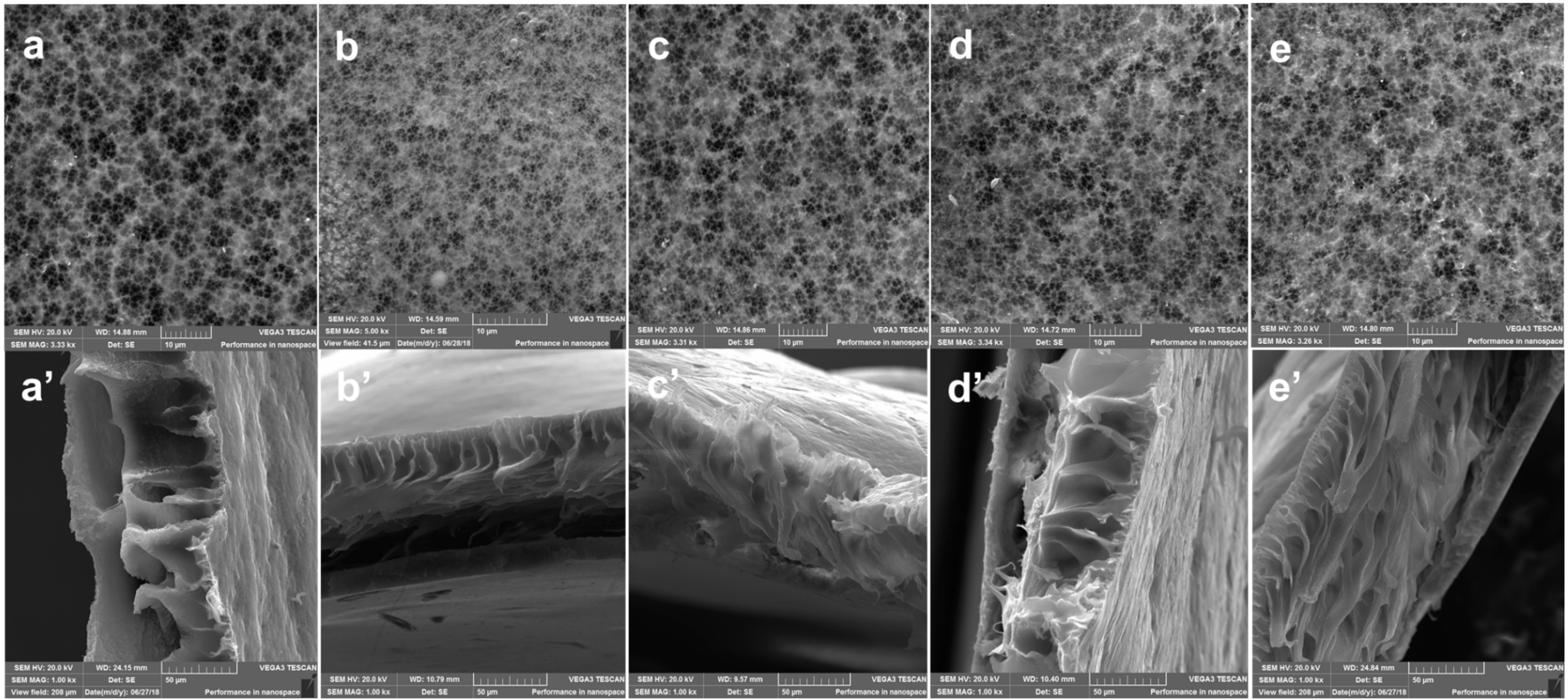 Membranes 10 00323 g005