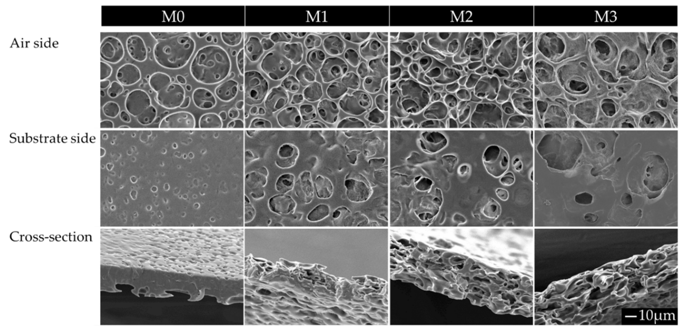 Membranes 10 00330 g002 Membranes 10 00330 g002