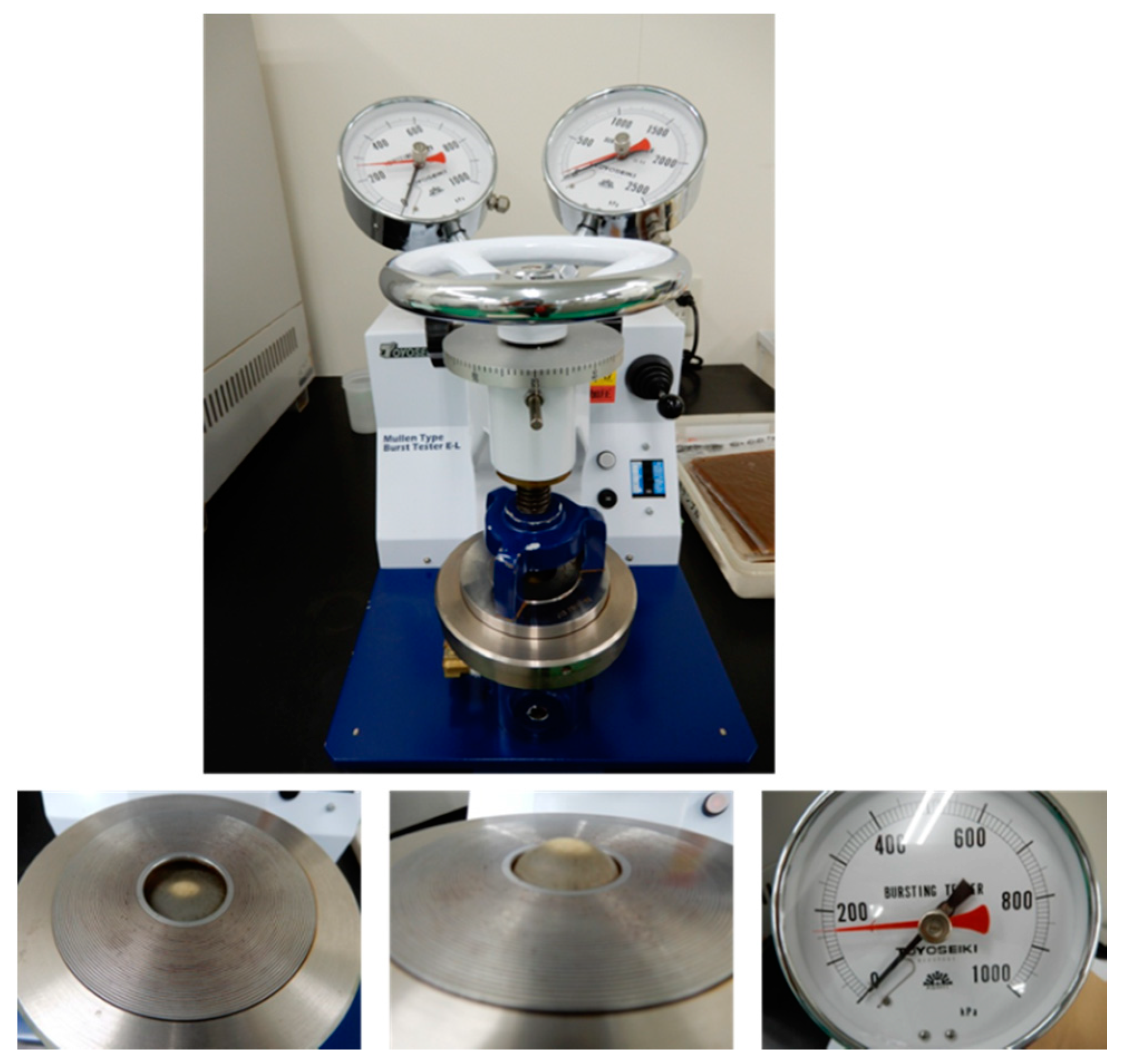 Membranes 10 00344 g001