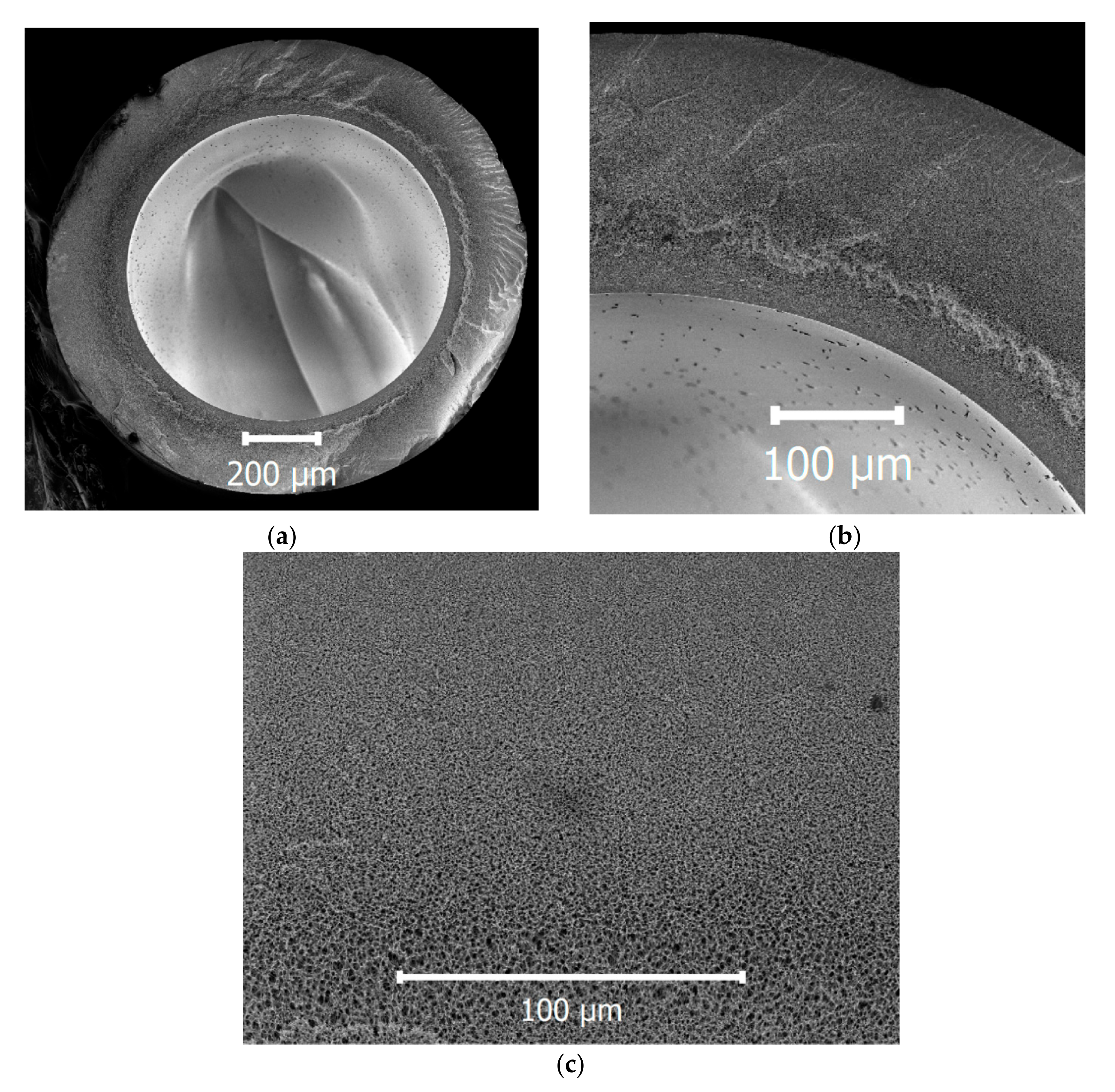 Membranes 10 00356 g001