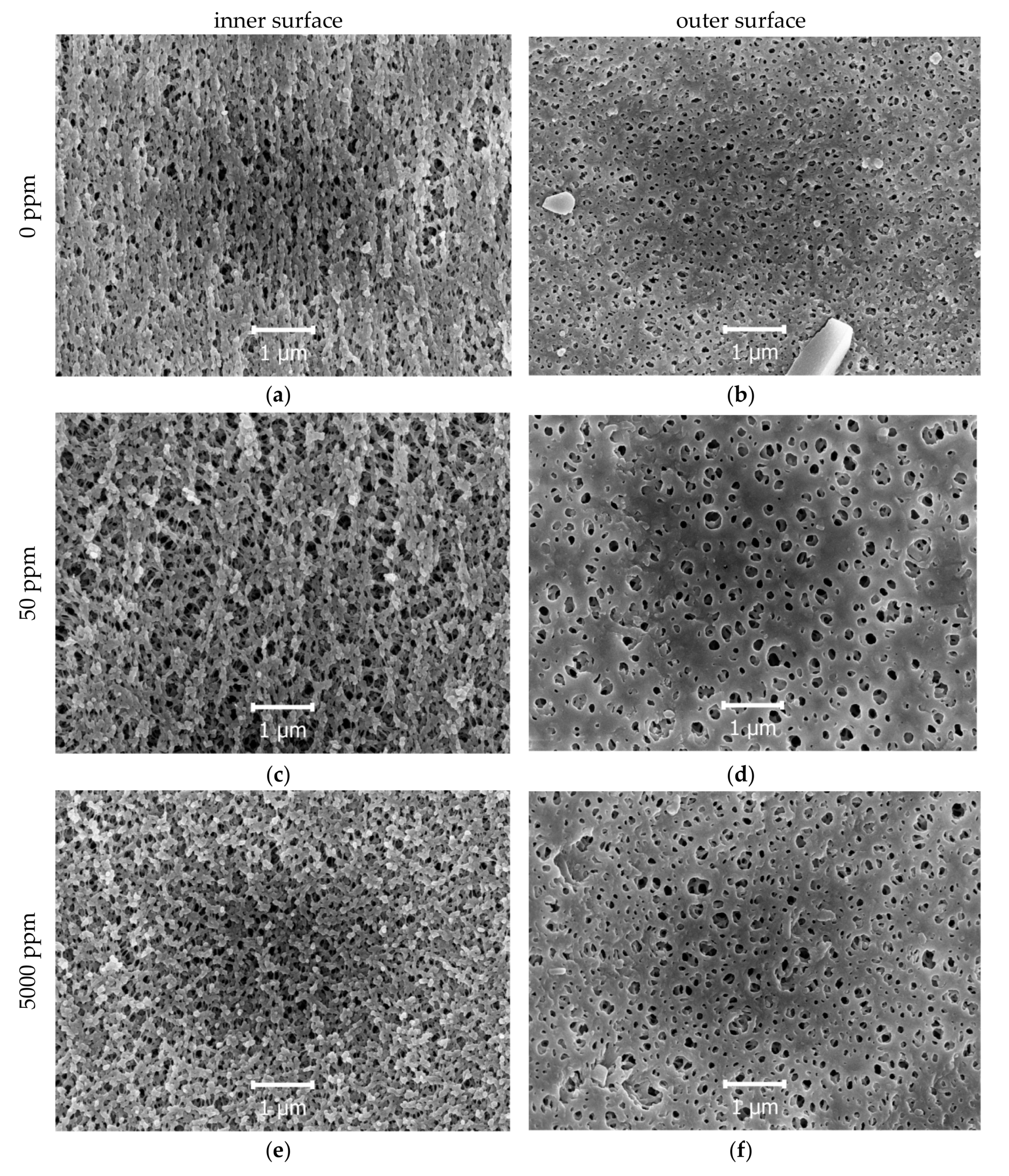 Membranes 10 00356 g003