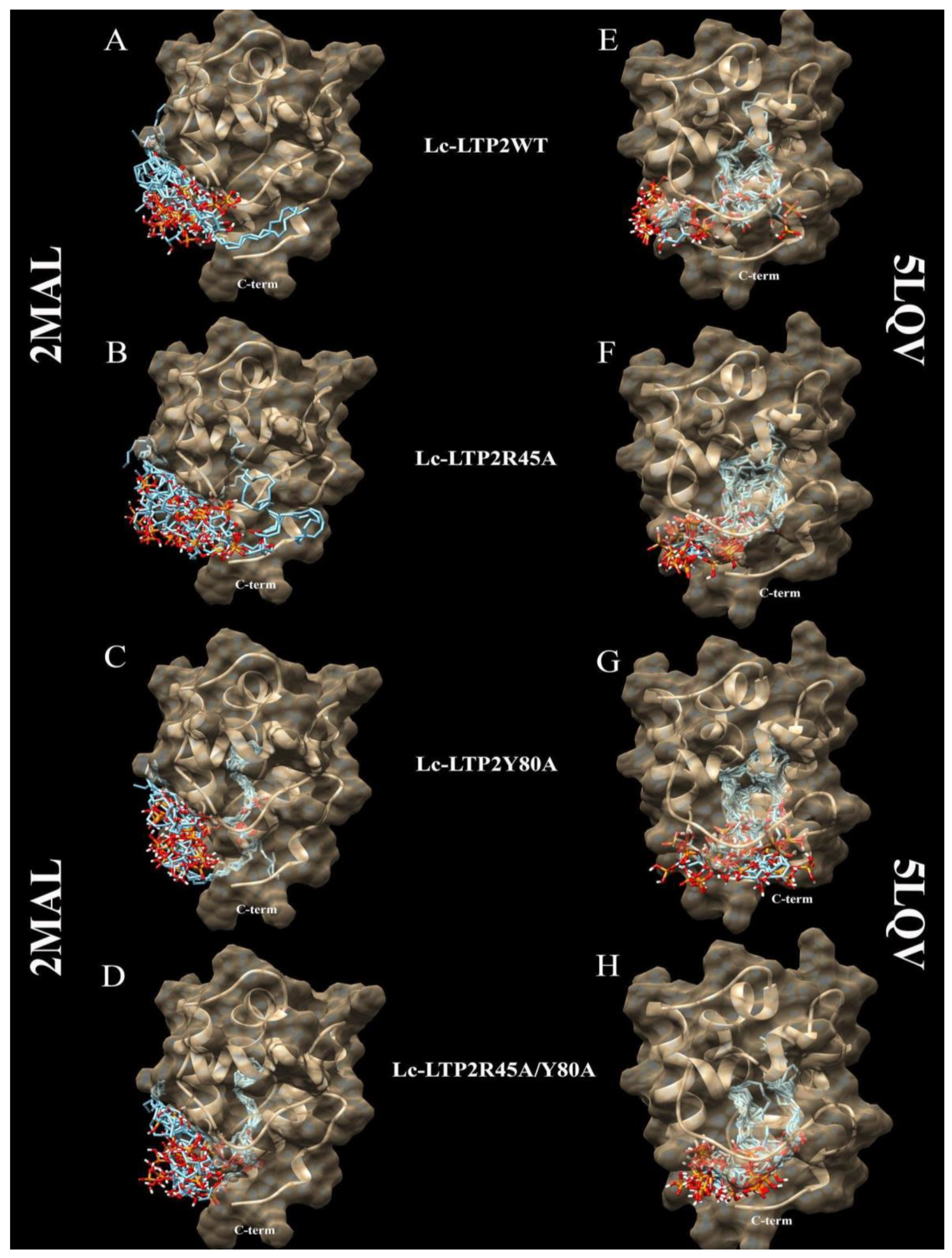 Membranes 10 00357 g003 Membranes 10 00357 g003