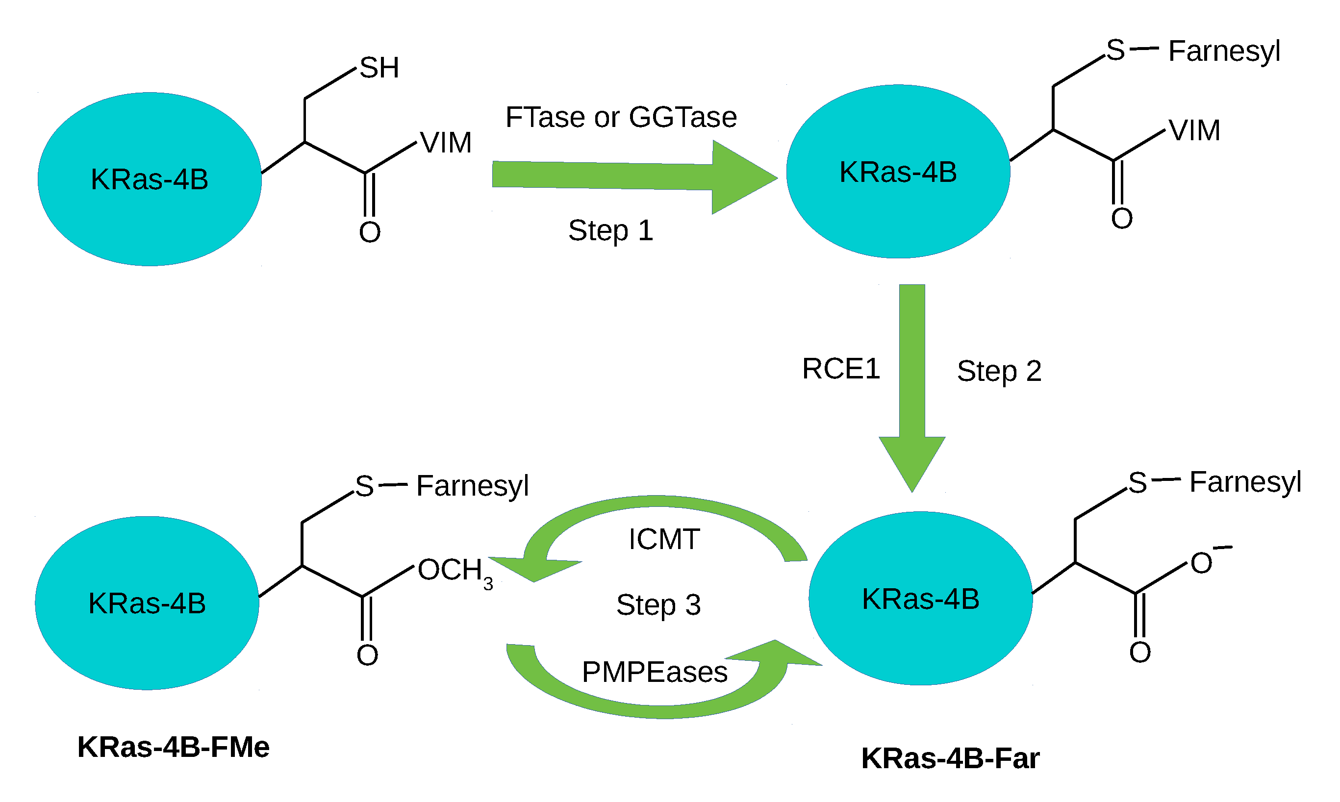 Membranes 10 00364 g001
