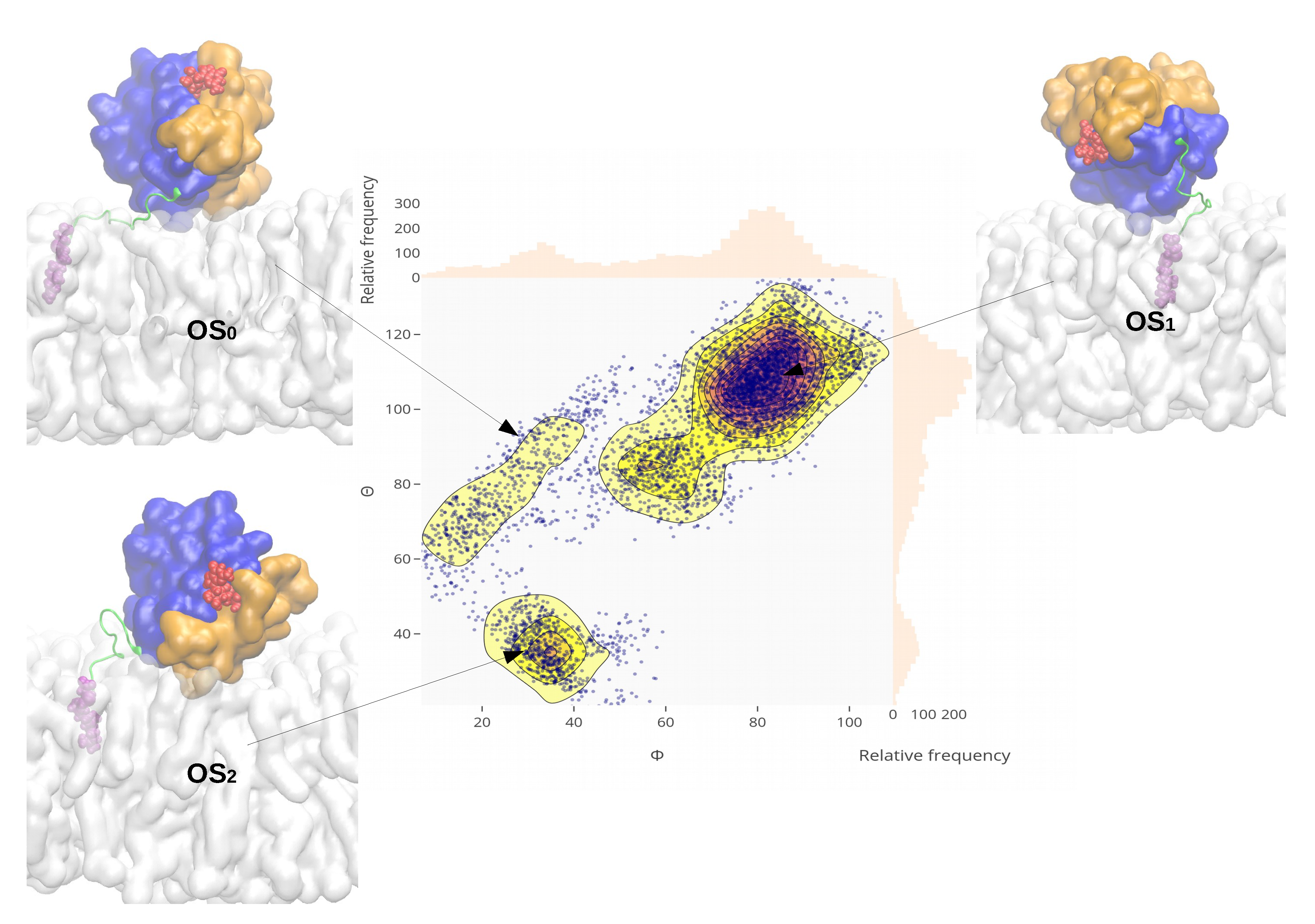 Membranes 10 00364 g005