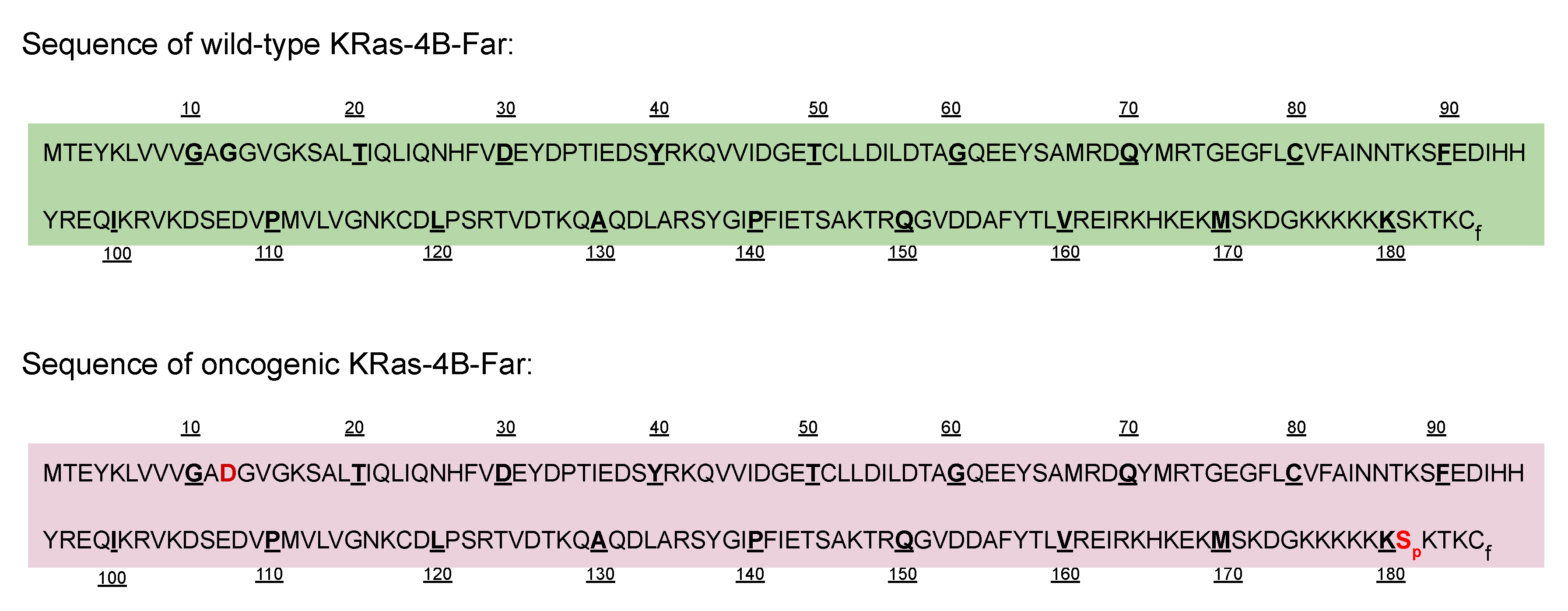 Membranes 10 00364 g0a6