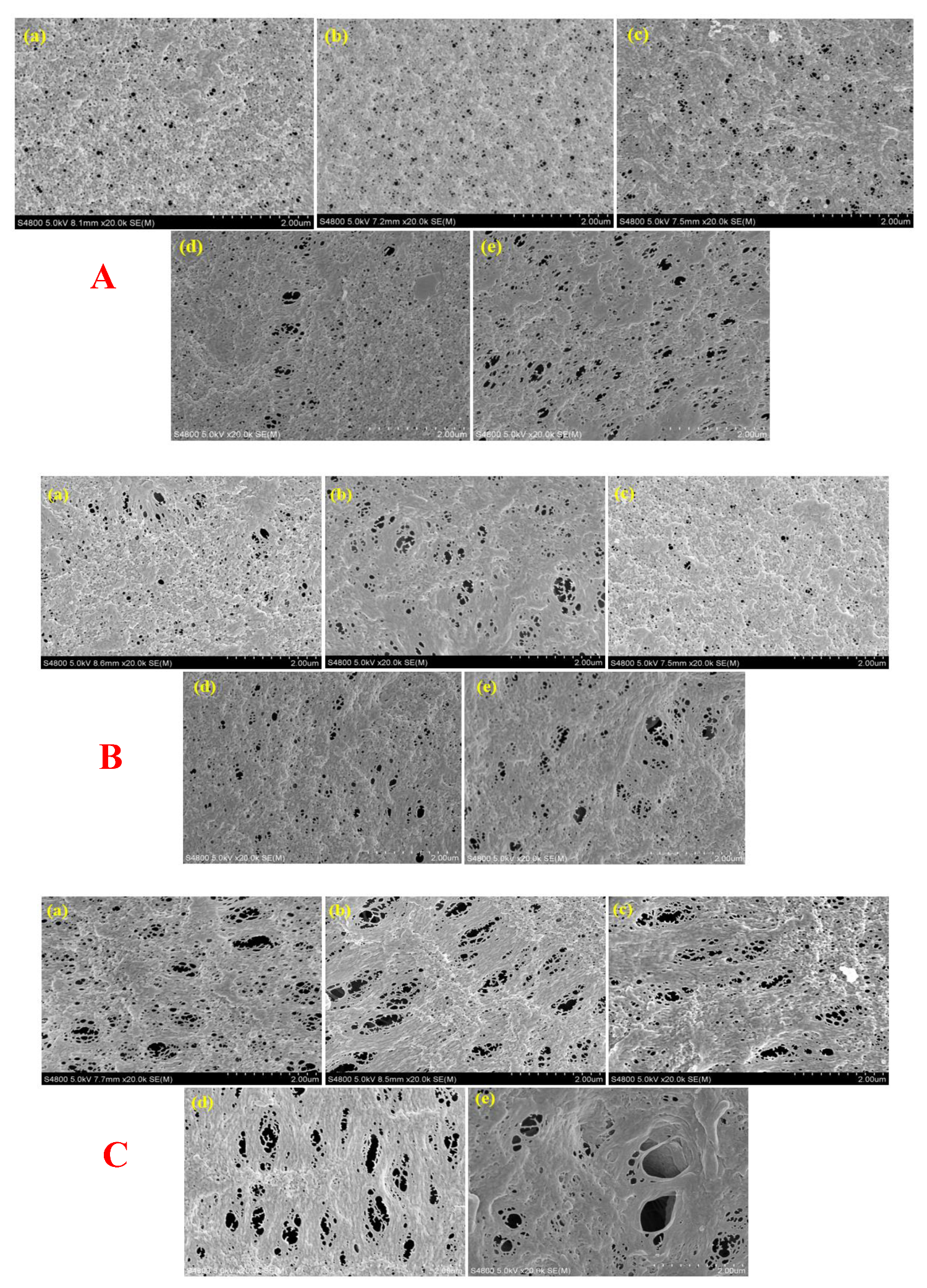 Membranes 10 00375 g002a