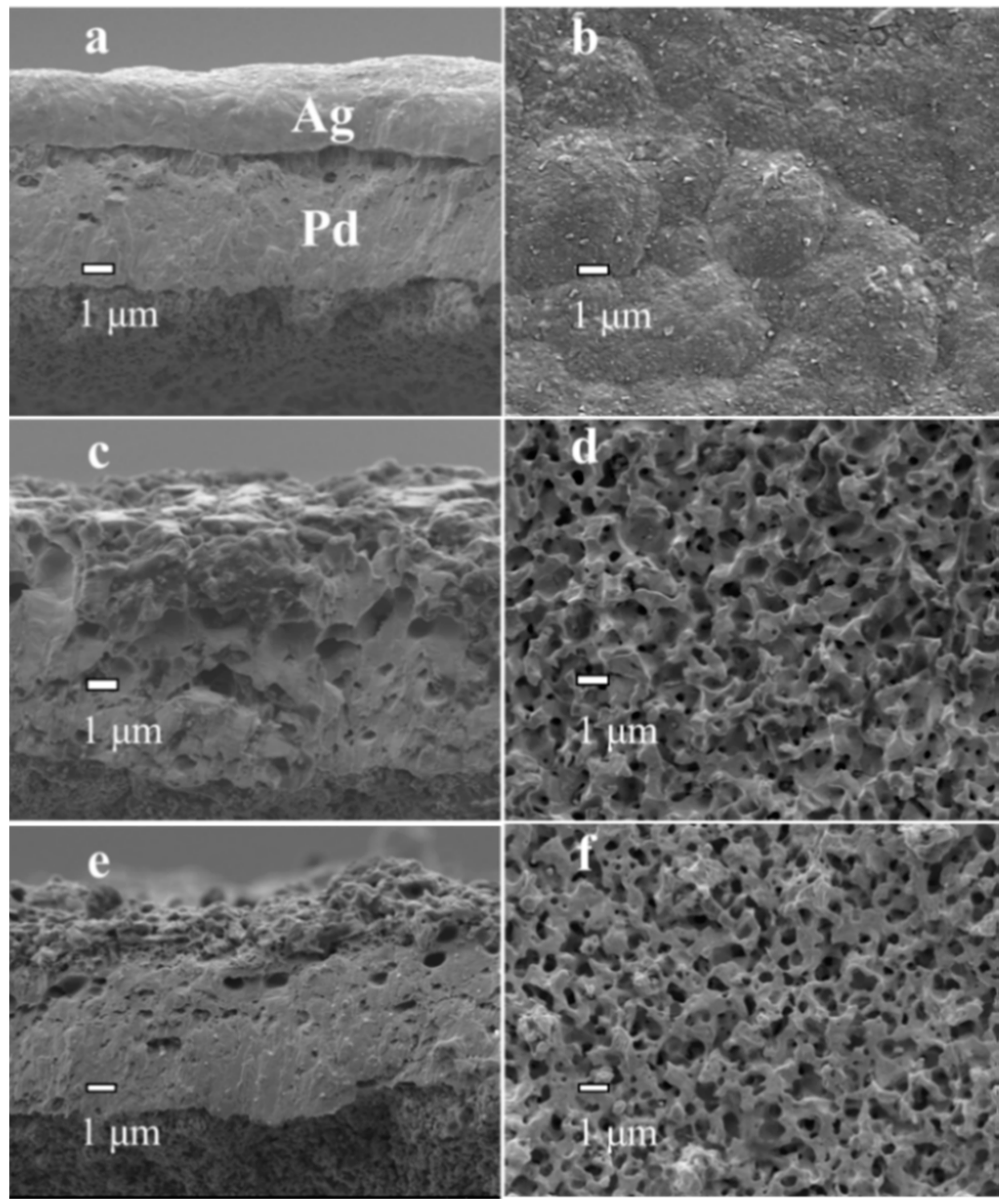 Membranes 10 00384 g003 Membranes 10 00384 g003