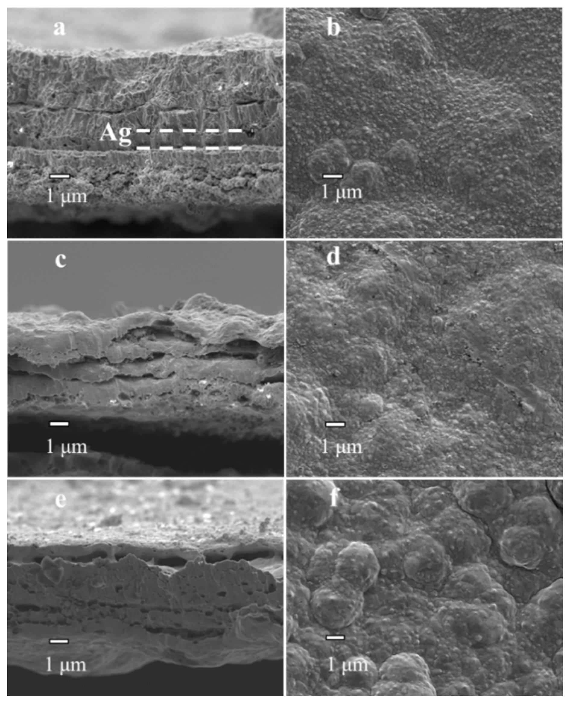 Membranes 10 00384 g004 Membranes 10 00384 g004