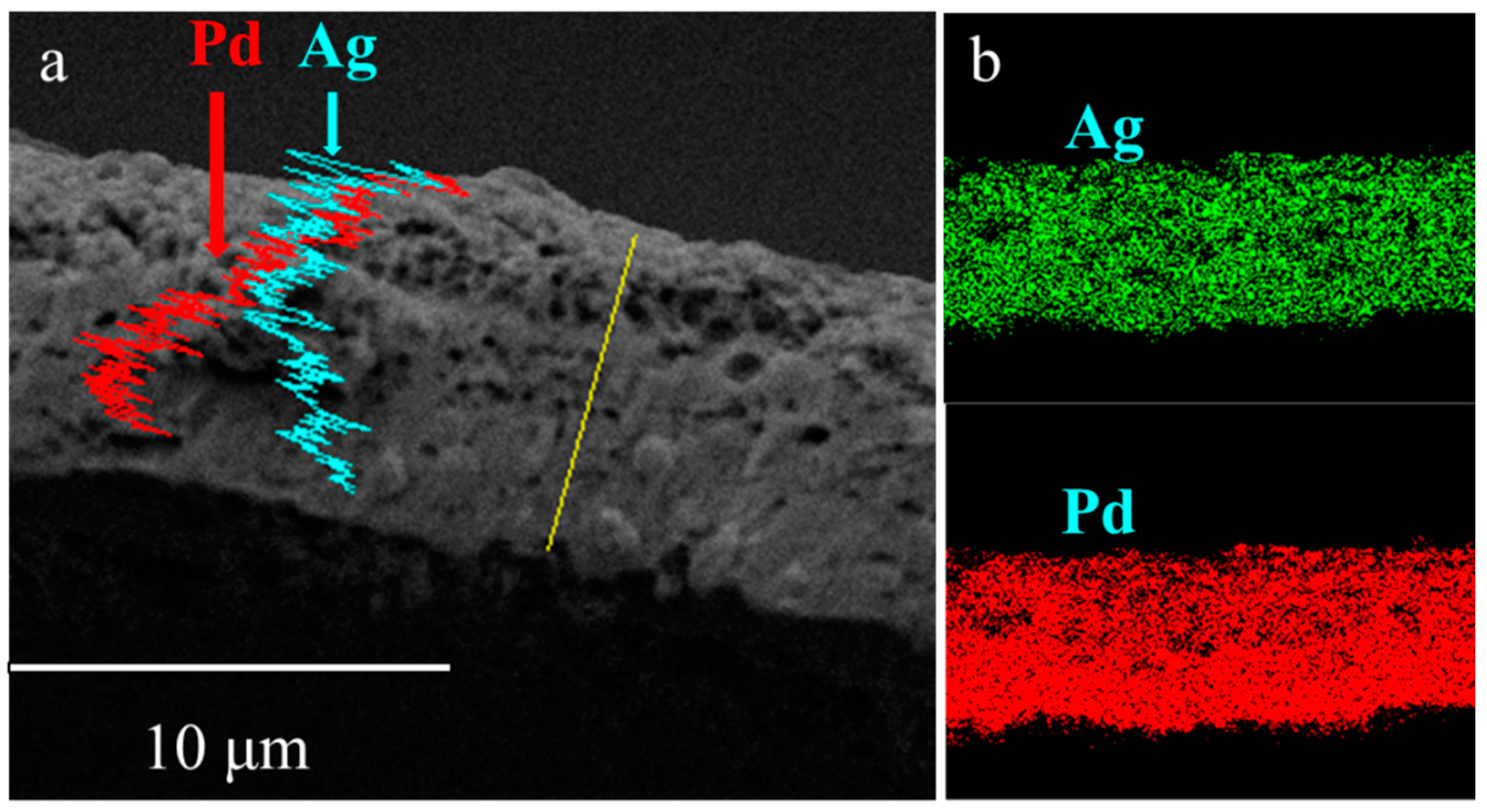 Membranes 10 00384 g005 Membranes 10 00384 g005