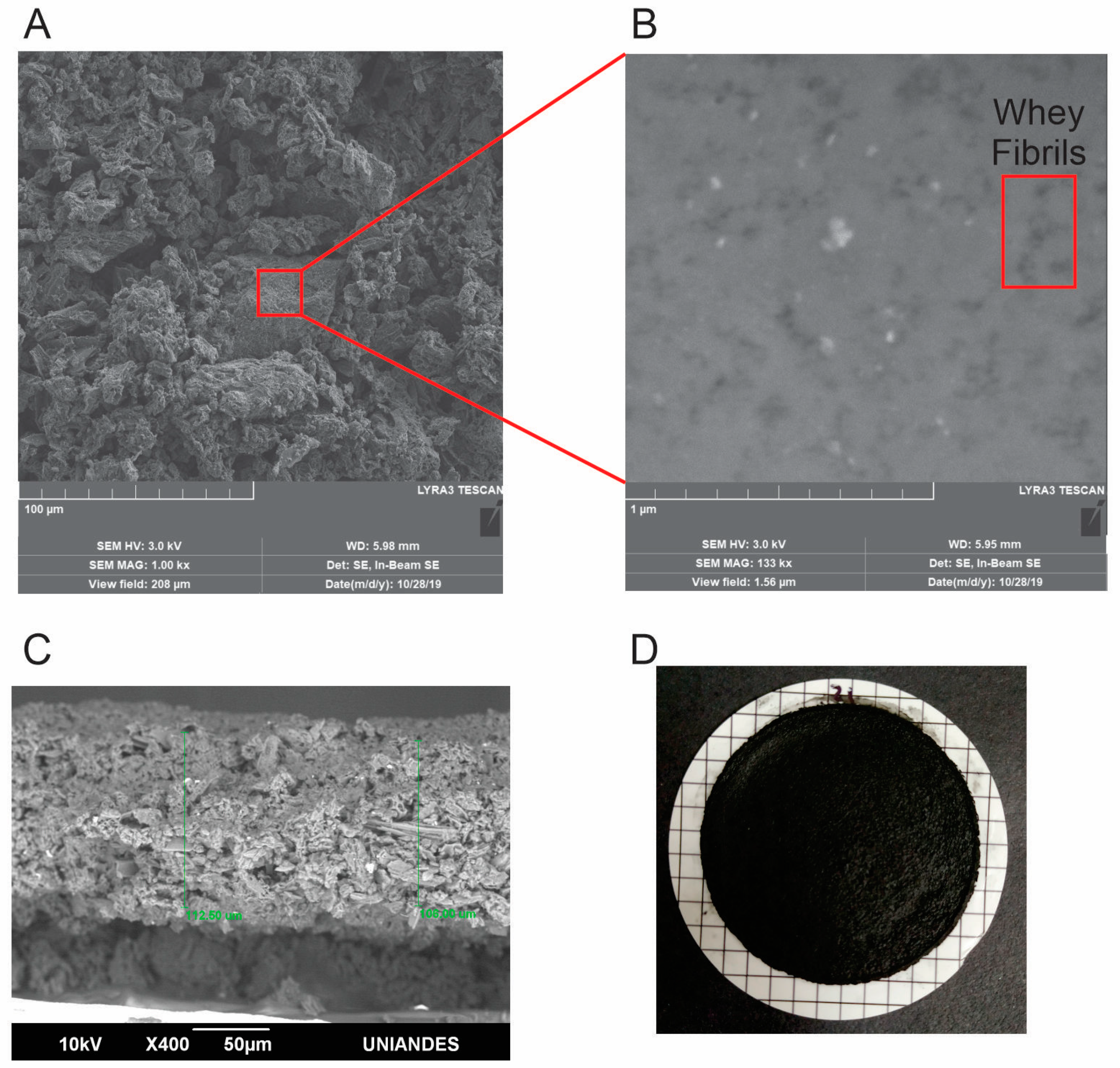 Membranes 10 00386 g002