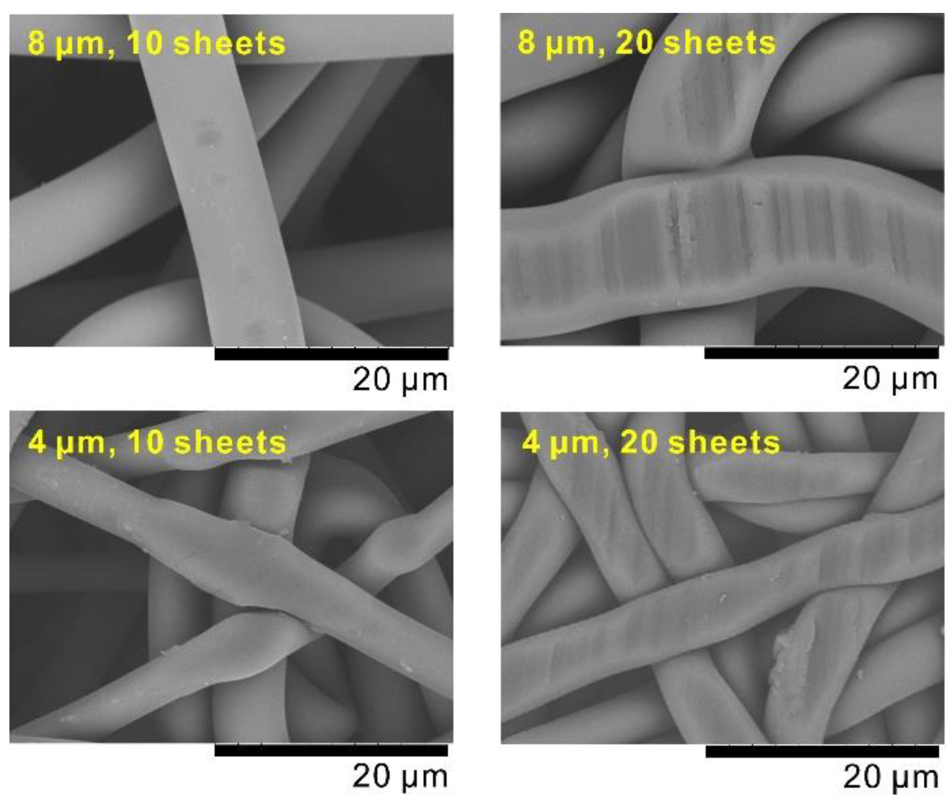 Membranes 10 00391 g003