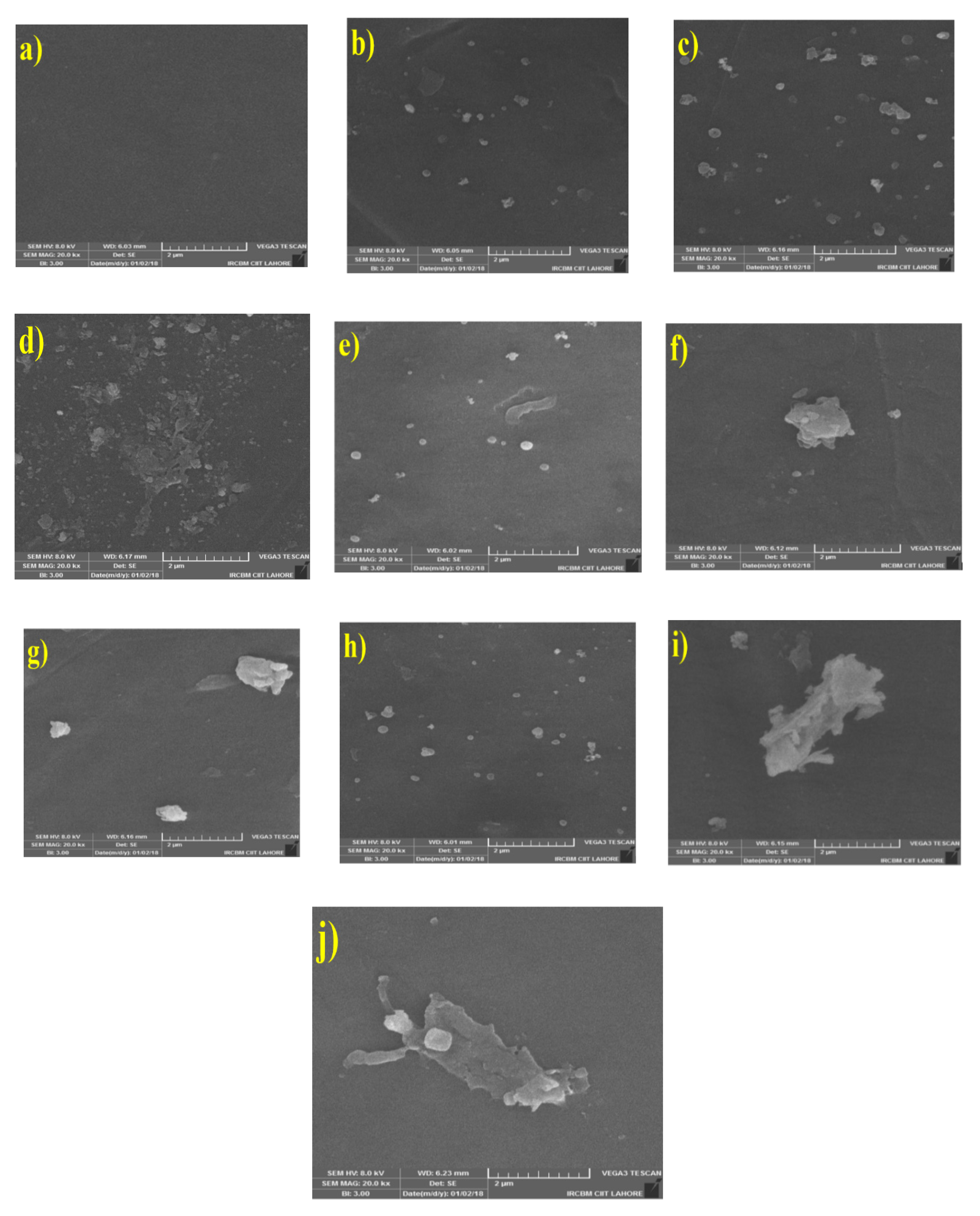 Membranes 10 00393 g001
