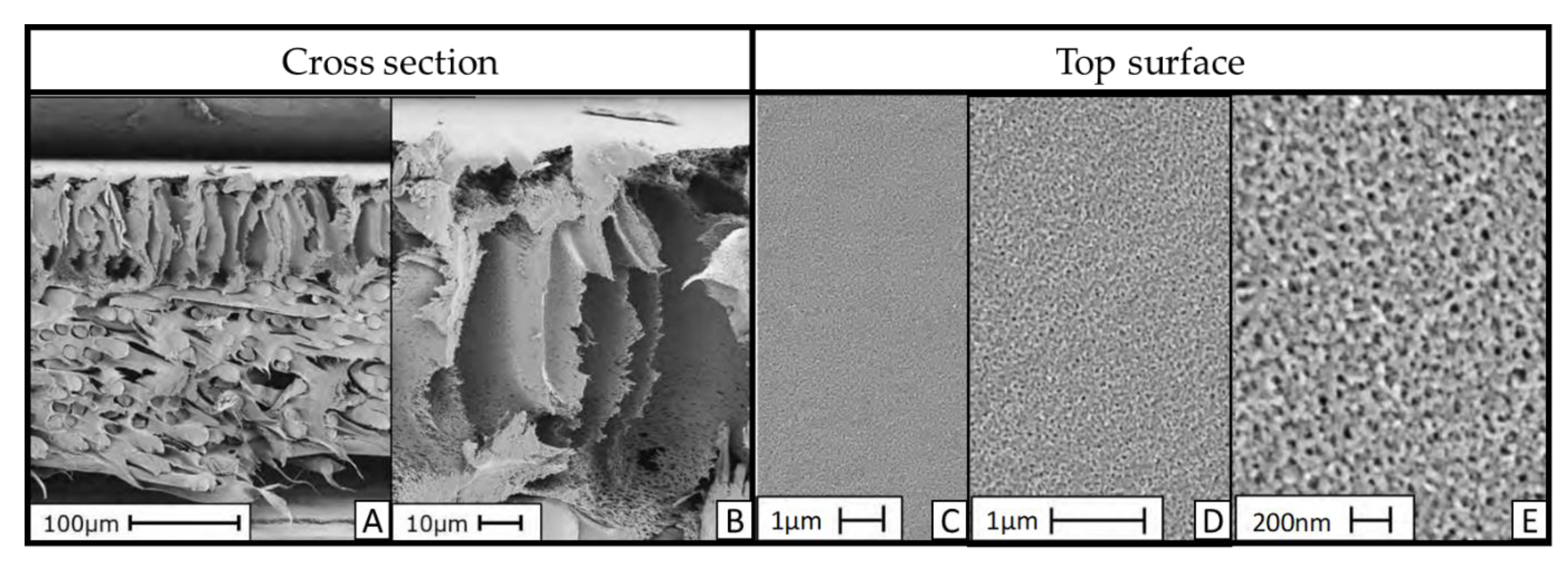 Membranes 10 00399 g004