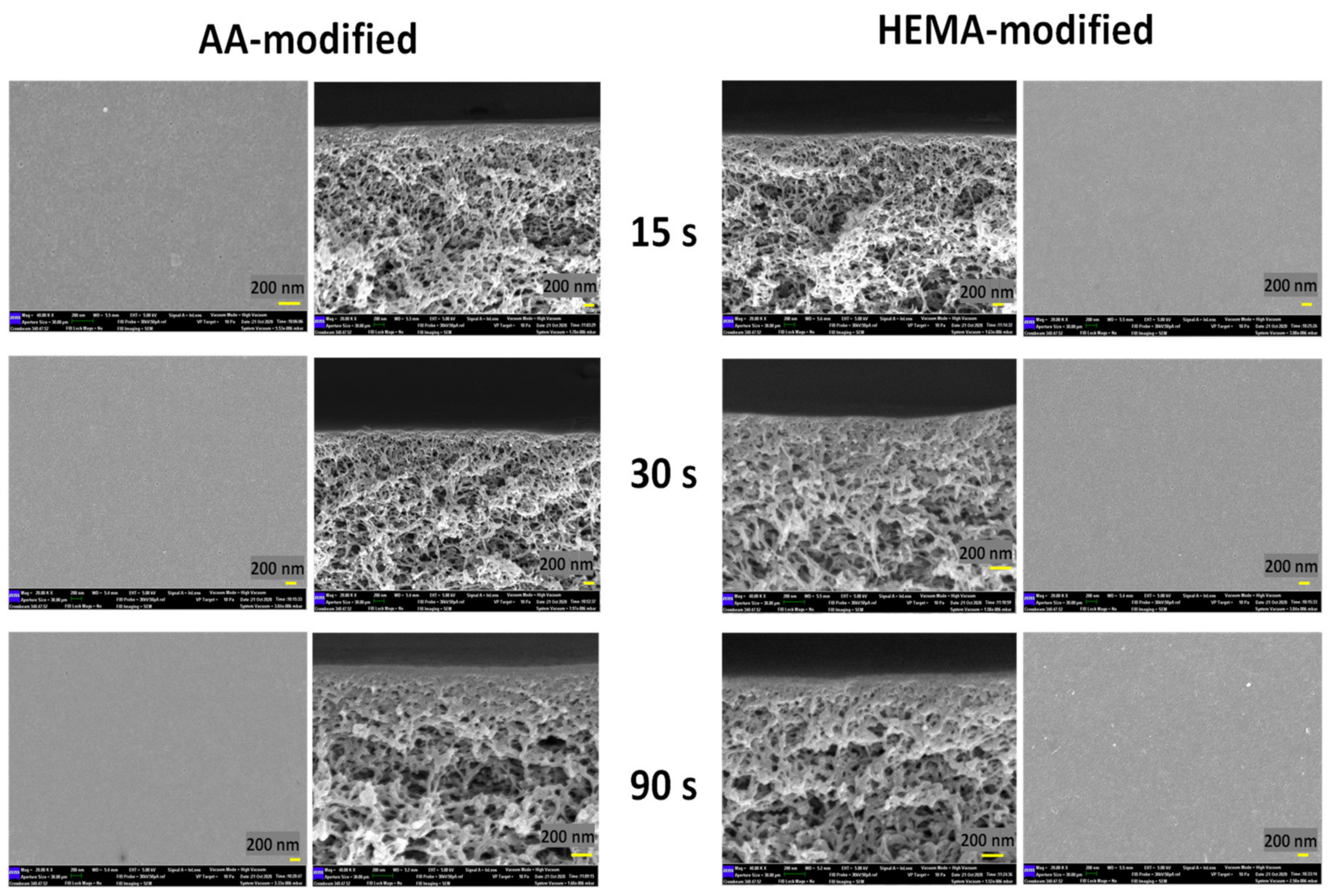 Membranes 10 00401 g008