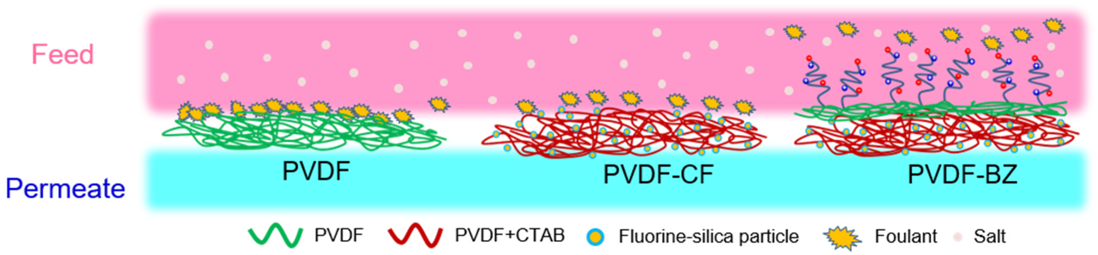 Membranes 10 00402 g001