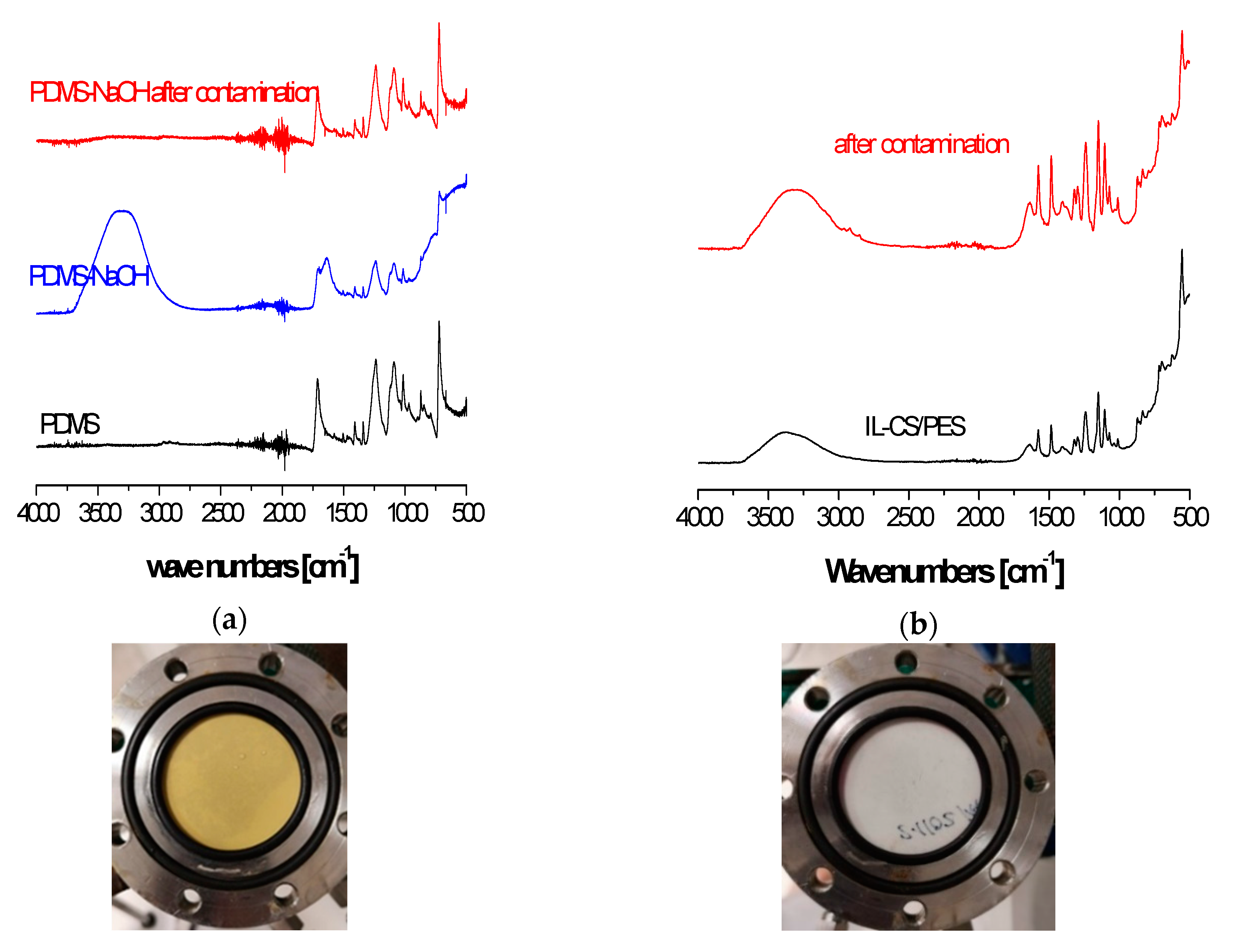 Membranes 10 00405 g005