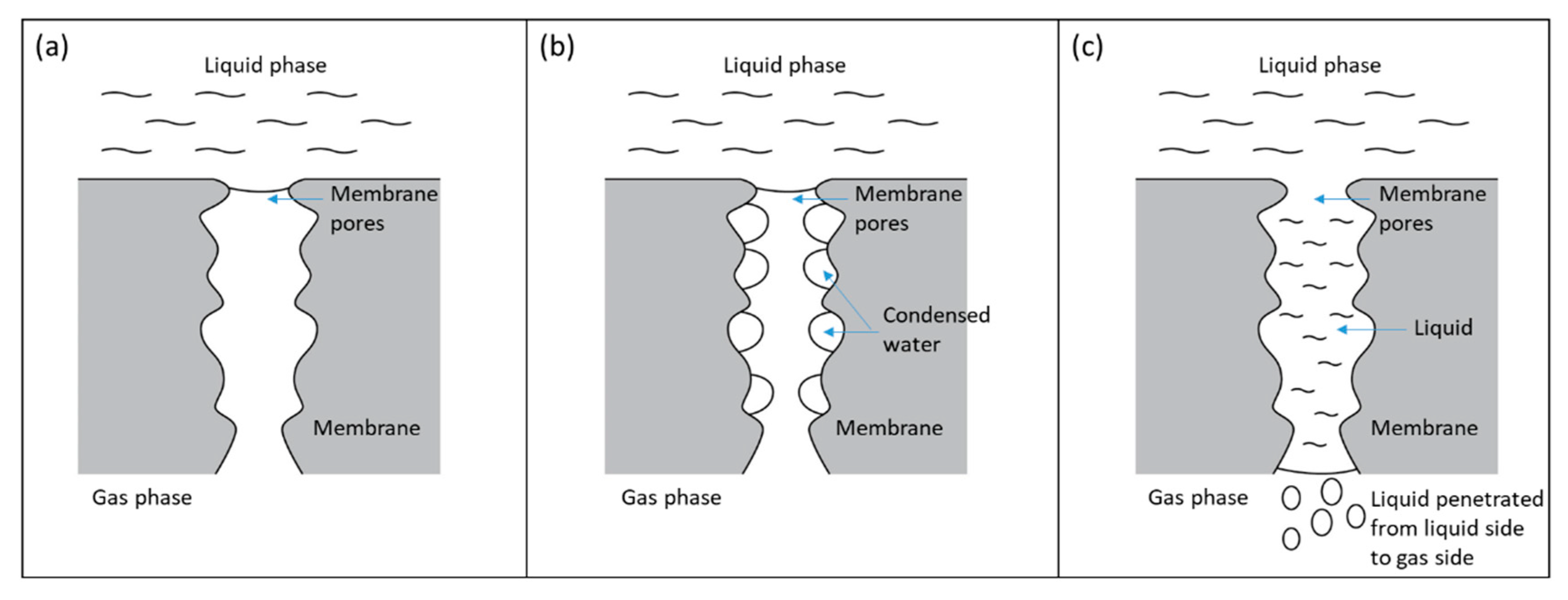 Membranes 10 00407 g004 Membranes 10 00407 g004