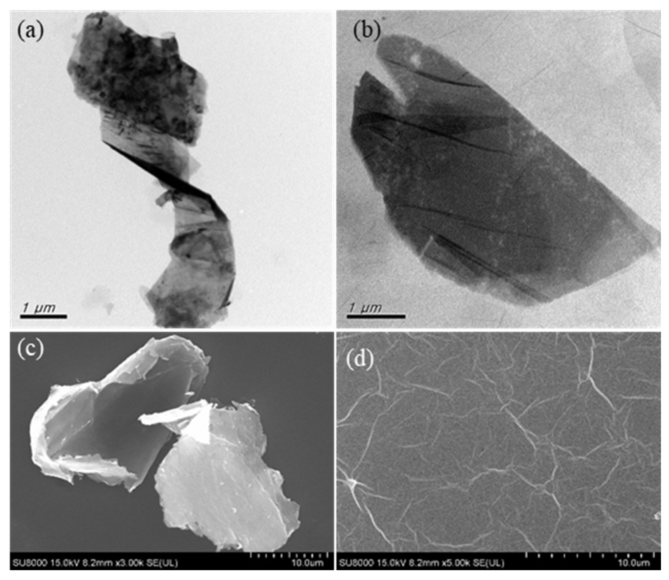 Membranes 10 00416 g001