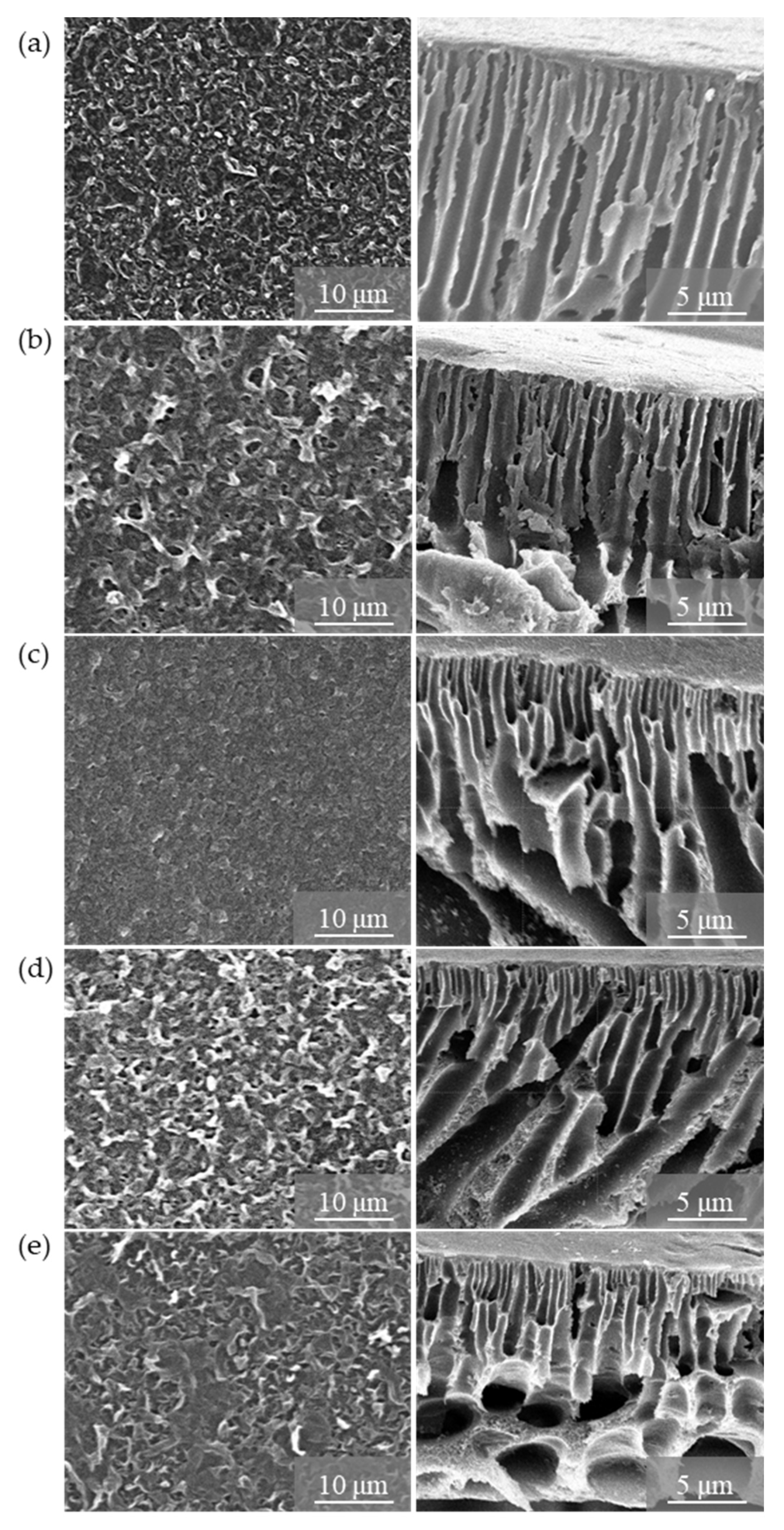 Membranes 10 00416 g006