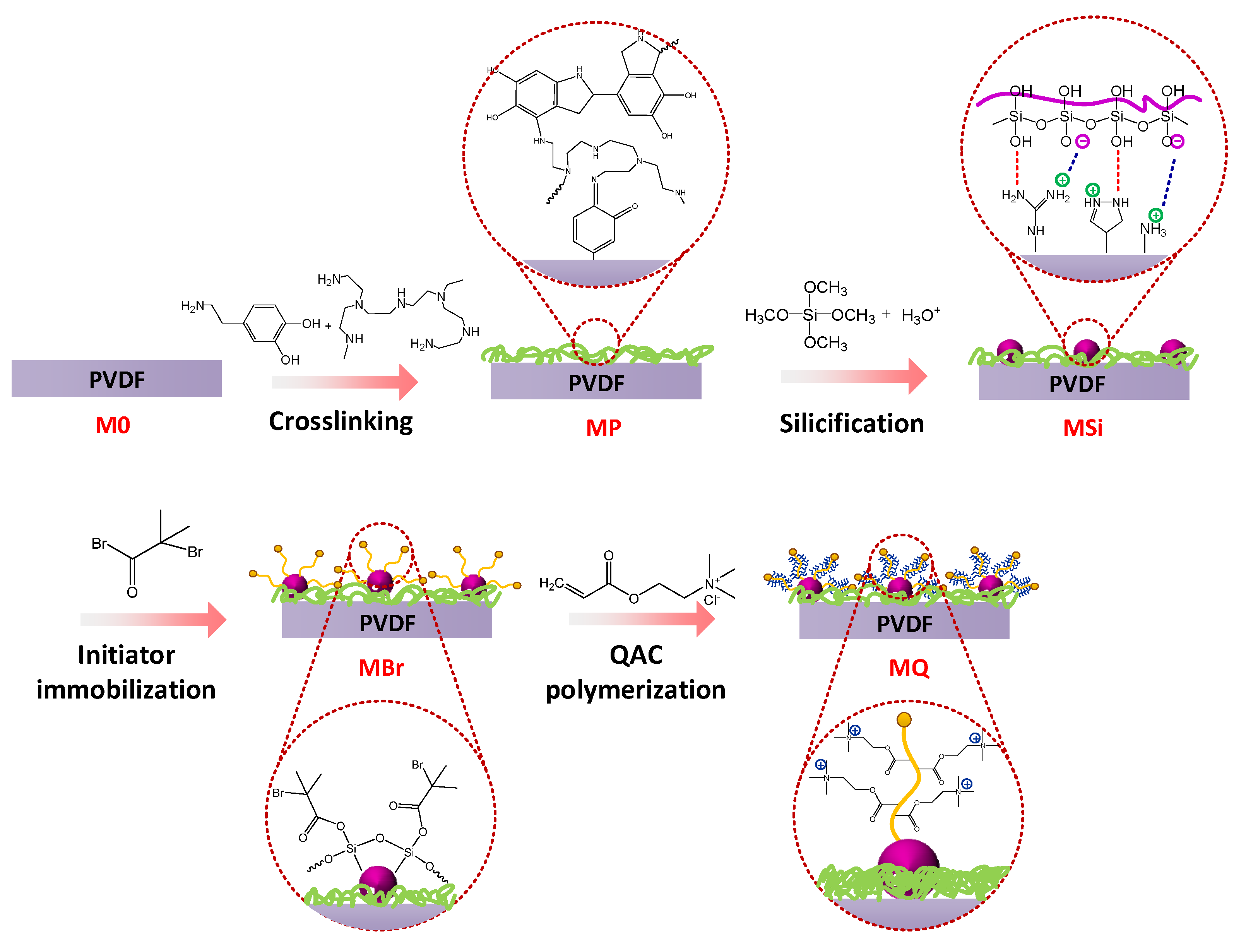 Membranes 10 00417 g001 Membranes 10 00417 g001