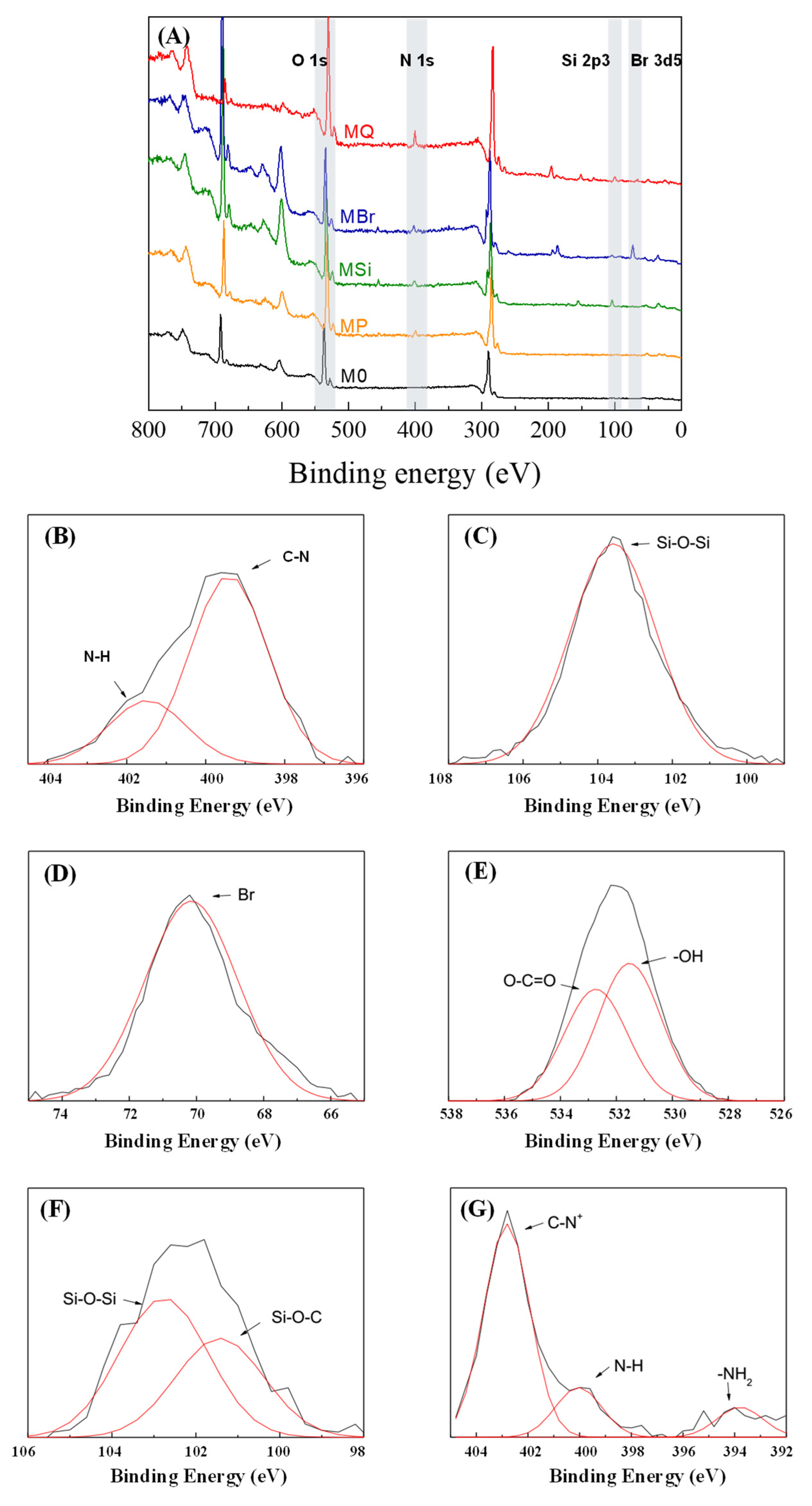 Membranes 10 00417 g002 Membranes 10 00417 g002