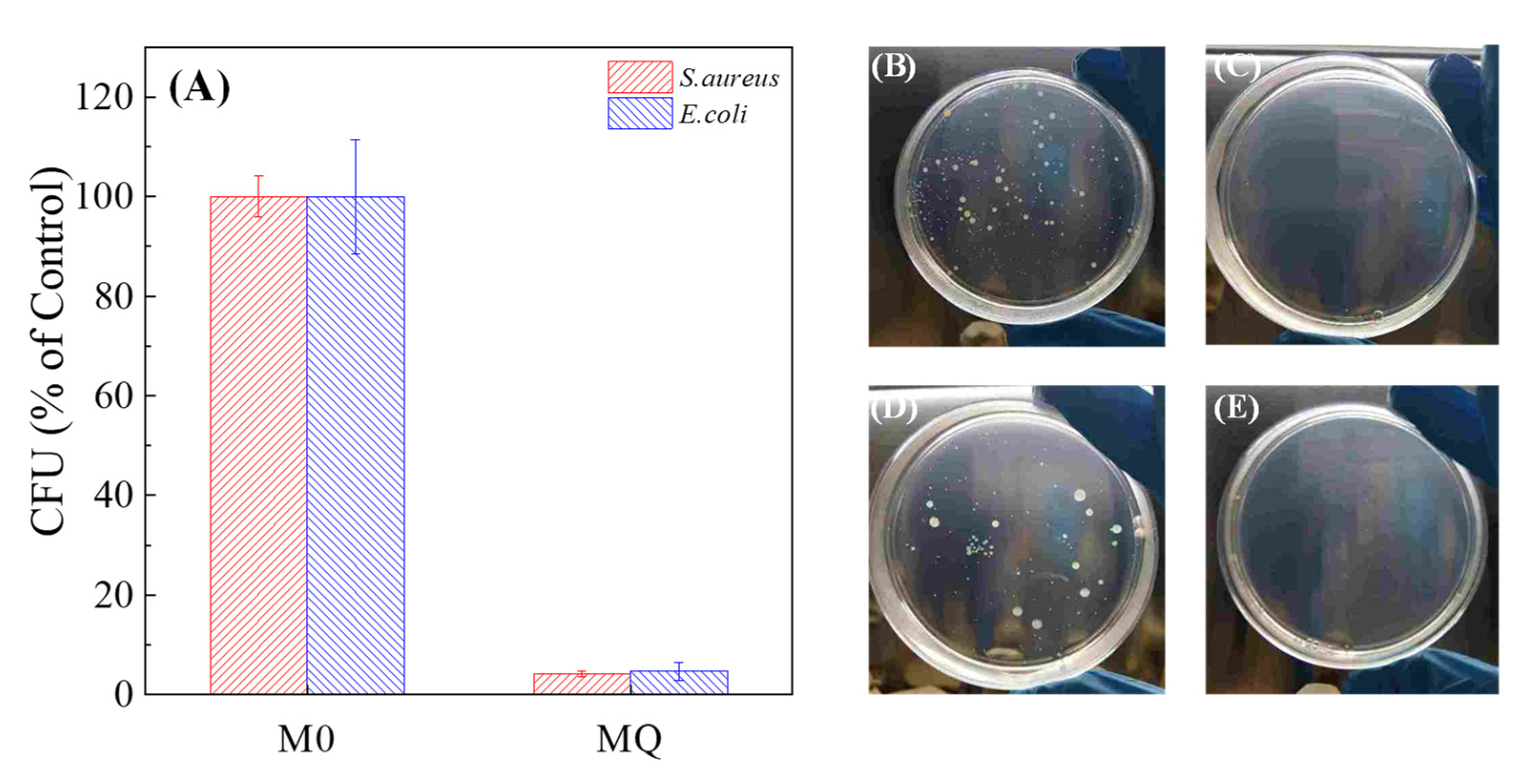 Membranes 10 00417 g005 Membranes 10 00417 g005