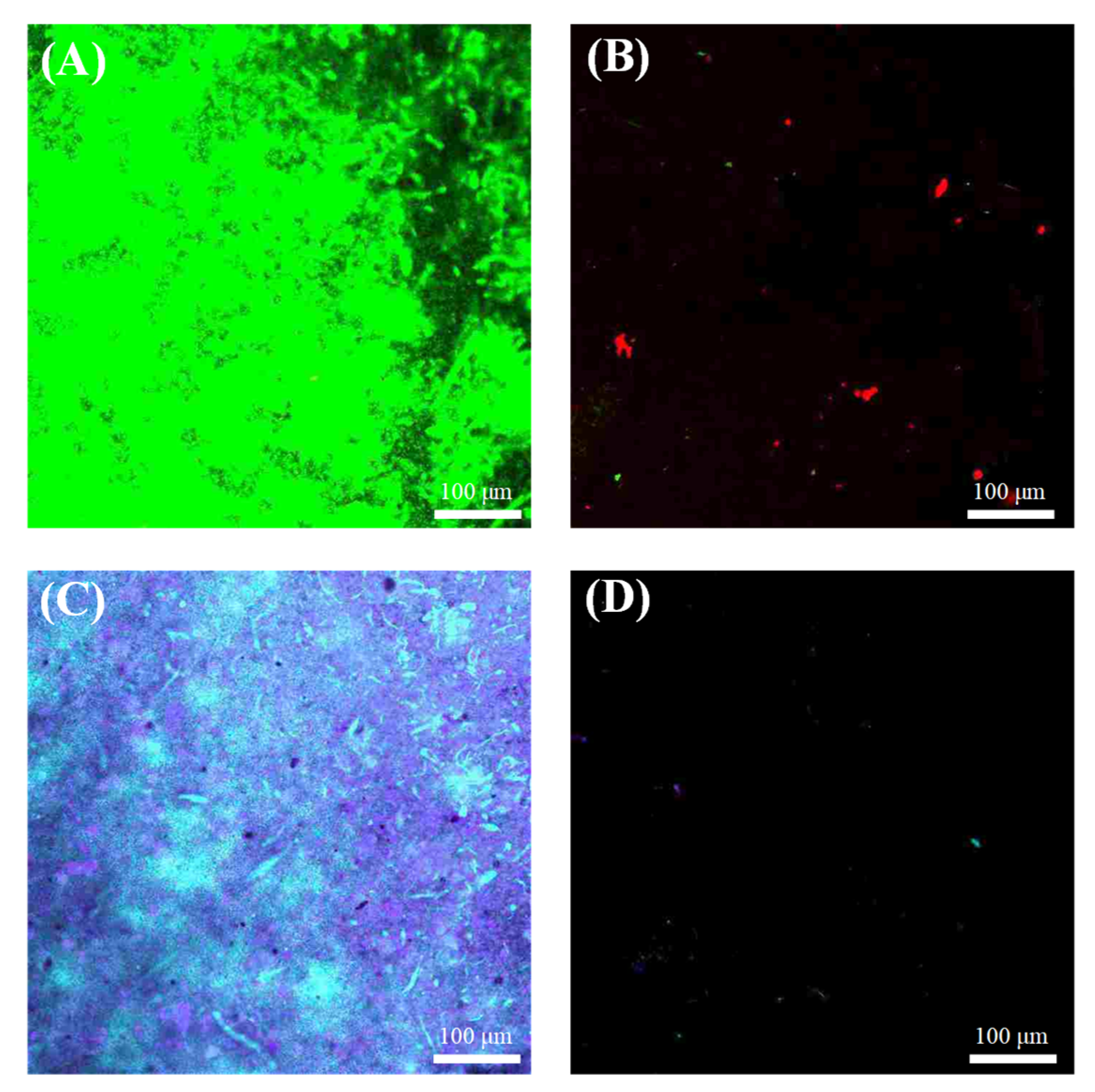 Membranes 10 00417 g008 Membranes 10 00417 g008