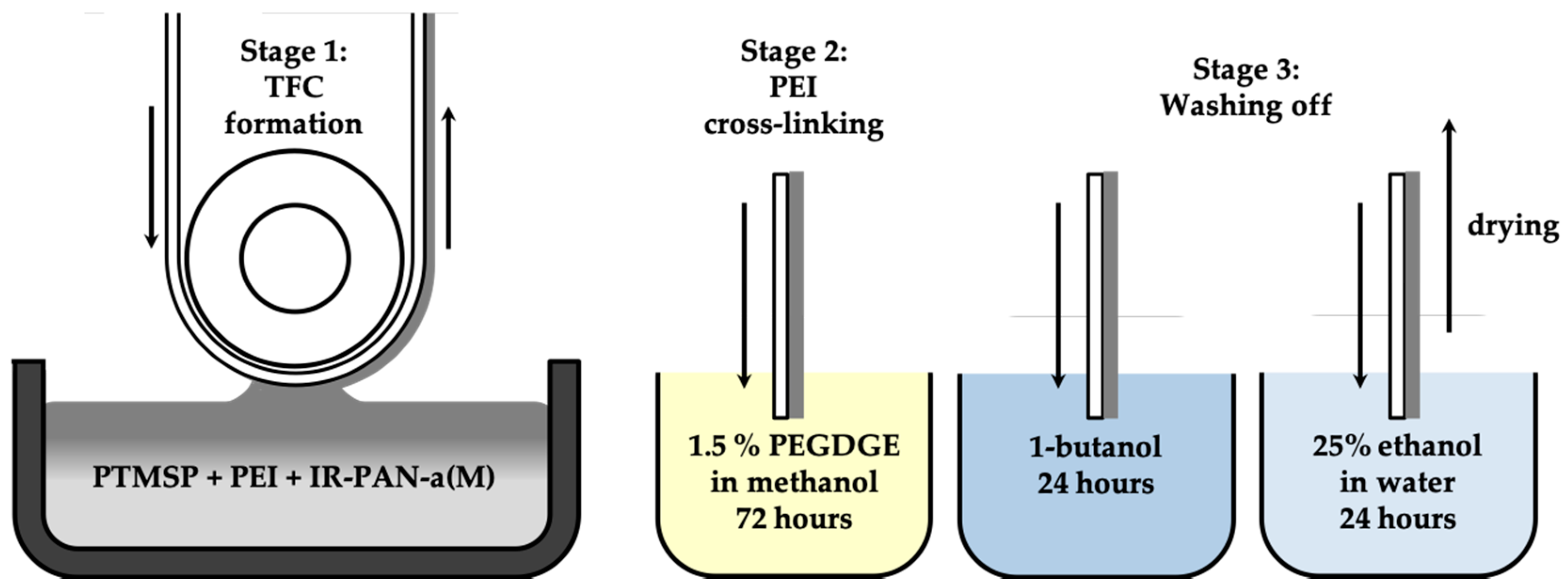 Membranes 10 00419 g001