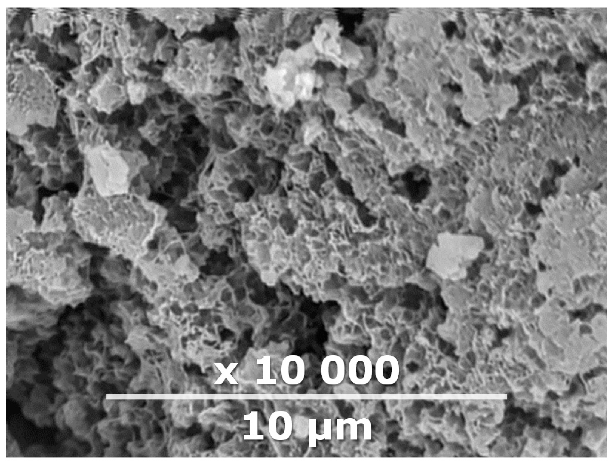 Membranes 10 00419 g002