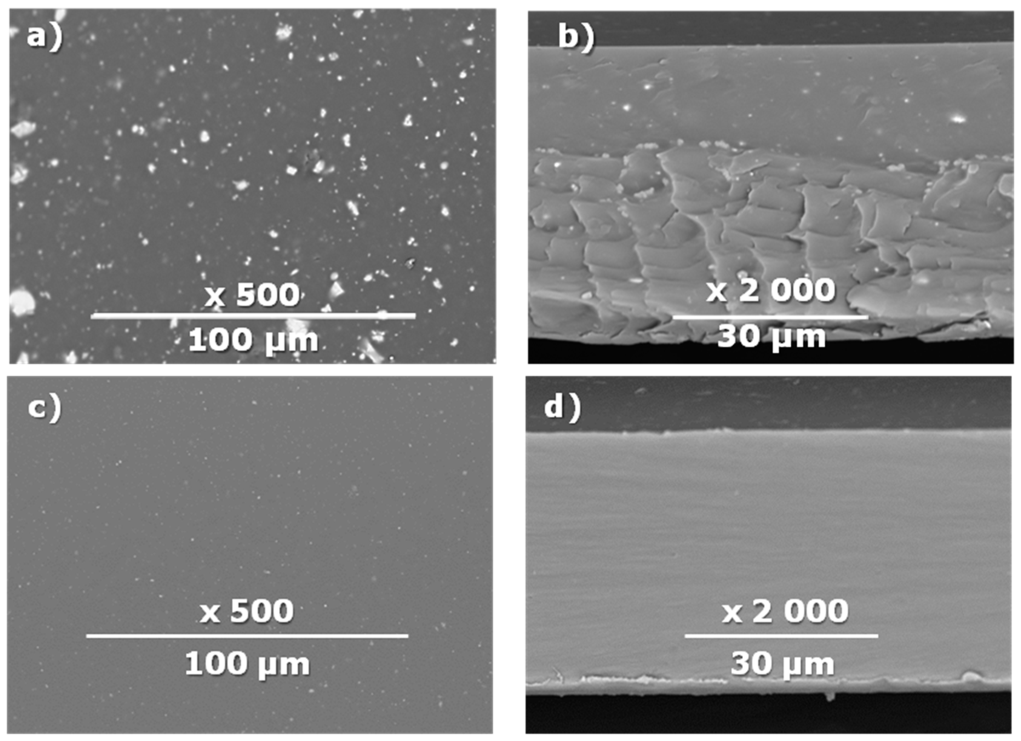 Membranes 10 00419 g003
