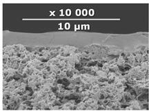 Membranes 10 00419 i002 Membranes 10 00419 i002