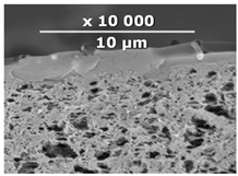 Membranes 10 00419 i003 Membranes 10 00419 i003