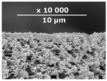 Membranes 10 00419 i004 Membranes 10 00419 i004