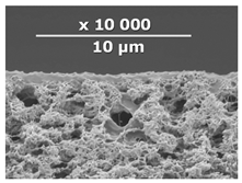 Membranes 10 00419 i005 Membranes 10 00419 i005