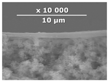 Membranes 10 00419 i007 Membranes 10 00419 i007