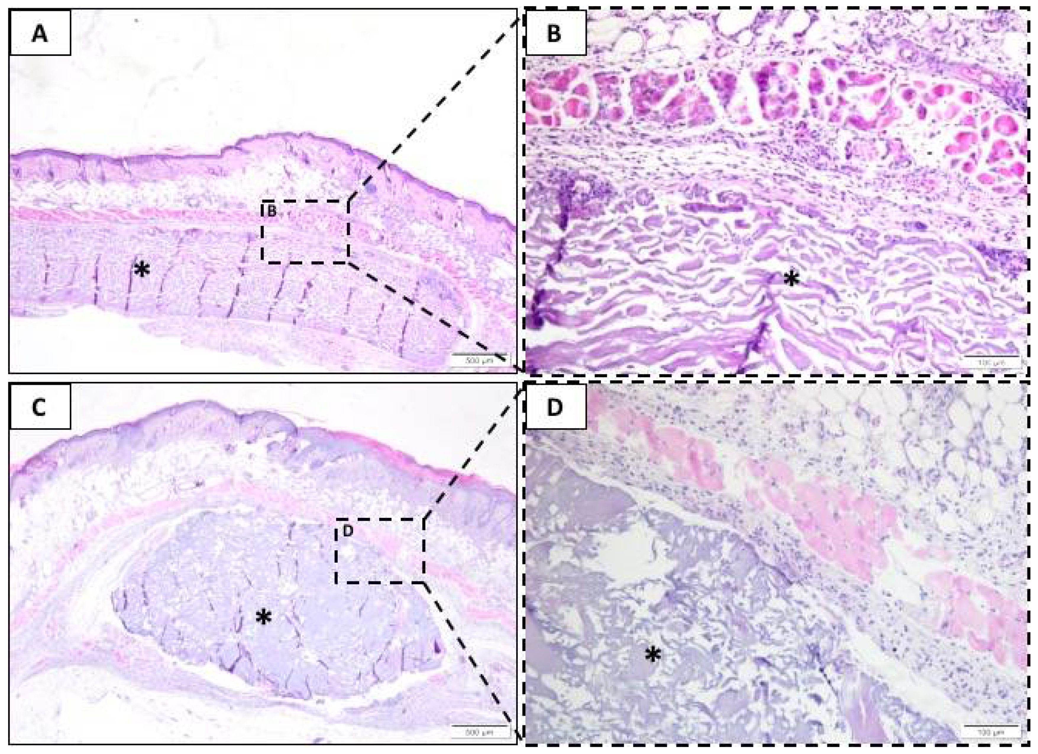Membranes 10 00423 g002