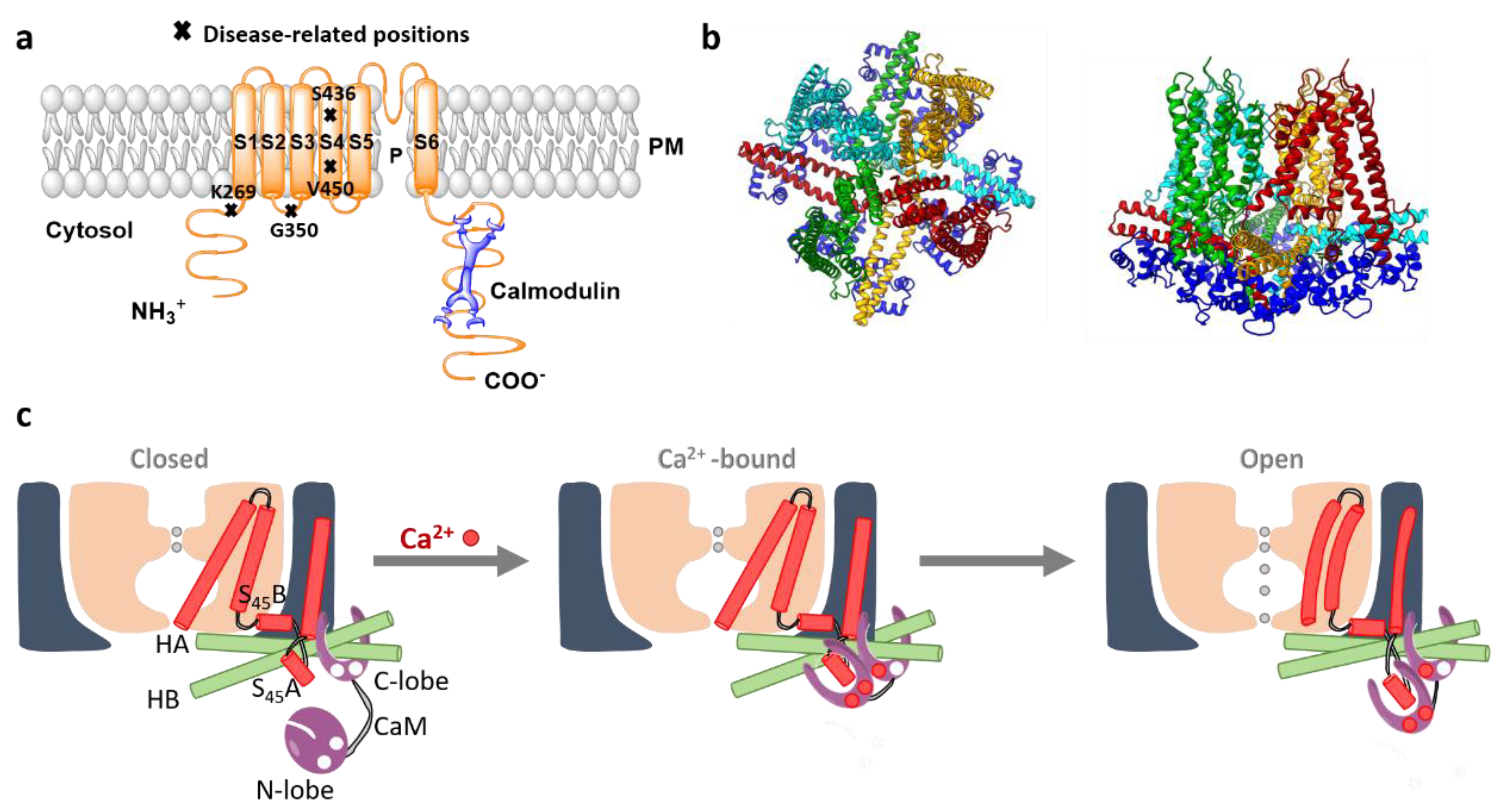 Membranes 10 00425 g007