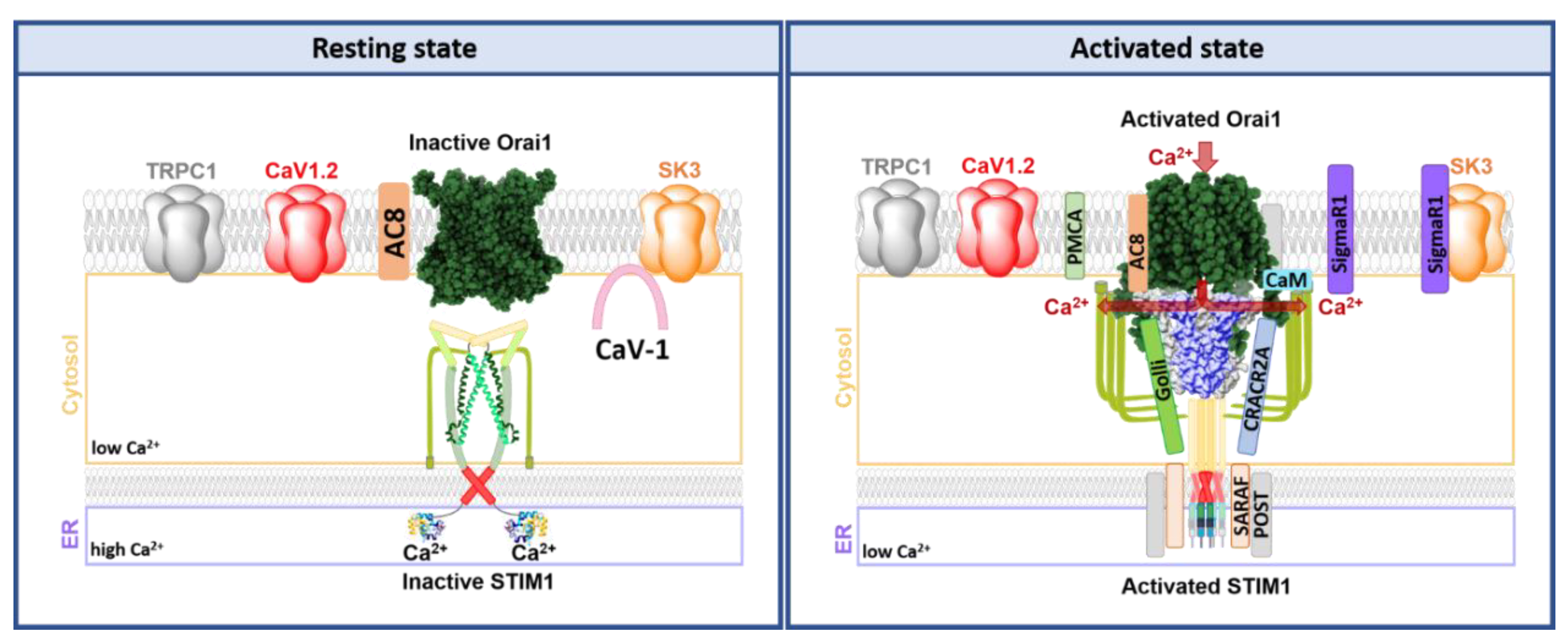 Membranes 10 00425 g008